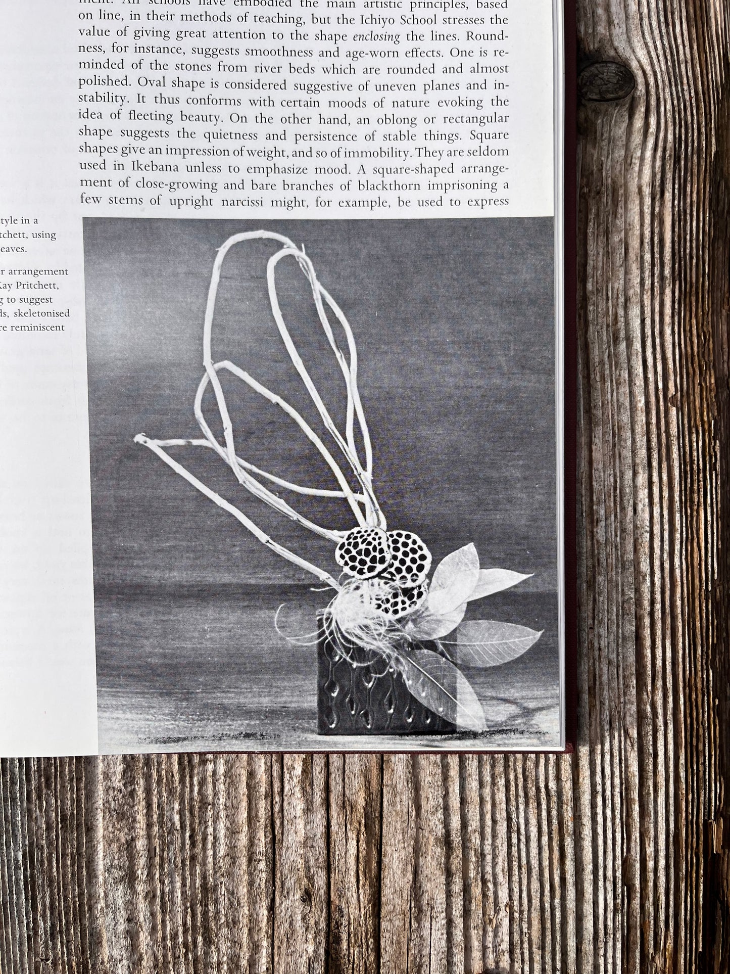 Japanese Flower Arrangement: Ikebana