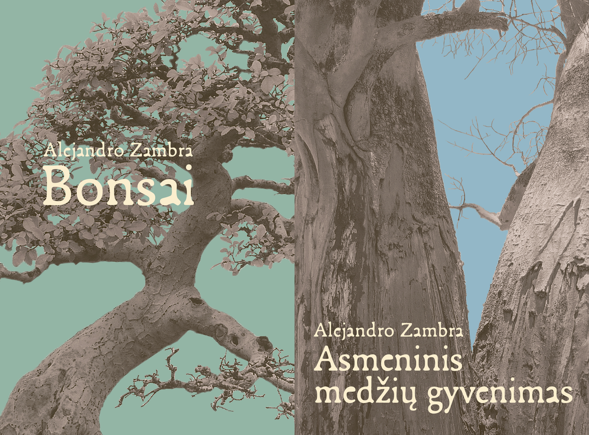 A. Zambra - Bonsai / Asmeninis medžių gyvenimas