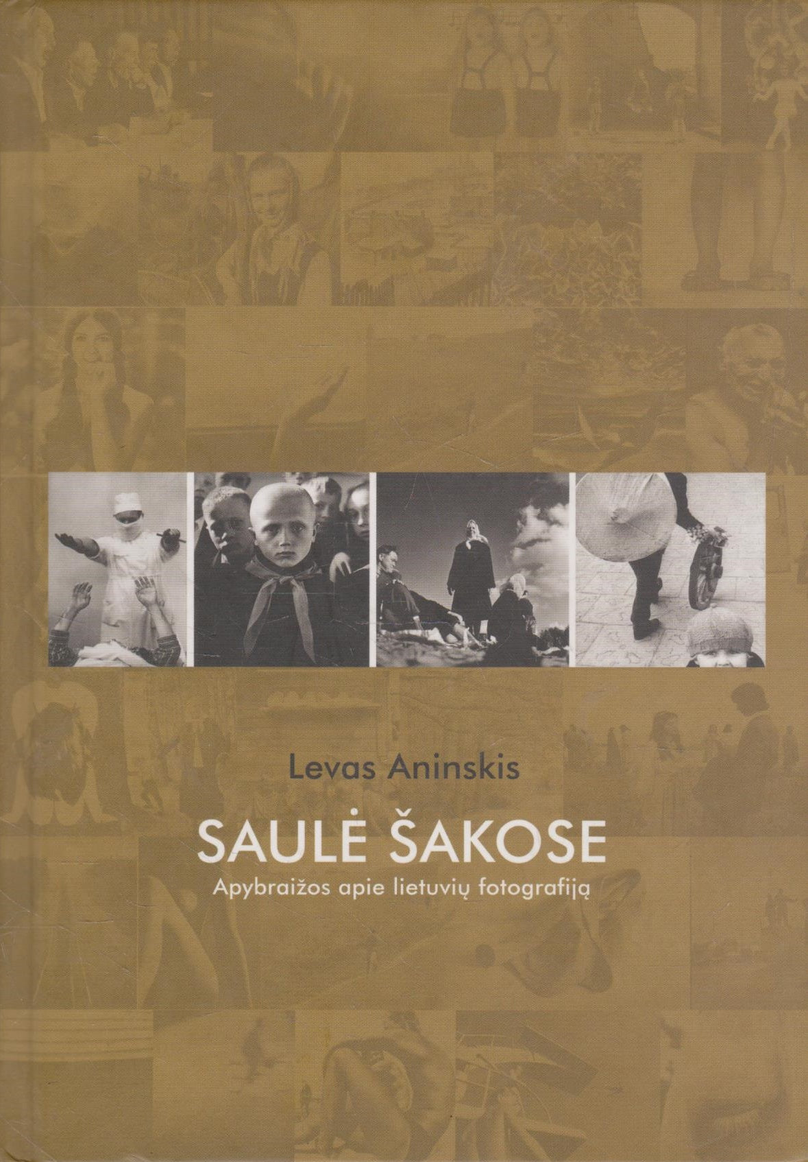 Levas Aninskis - Saulė šakose