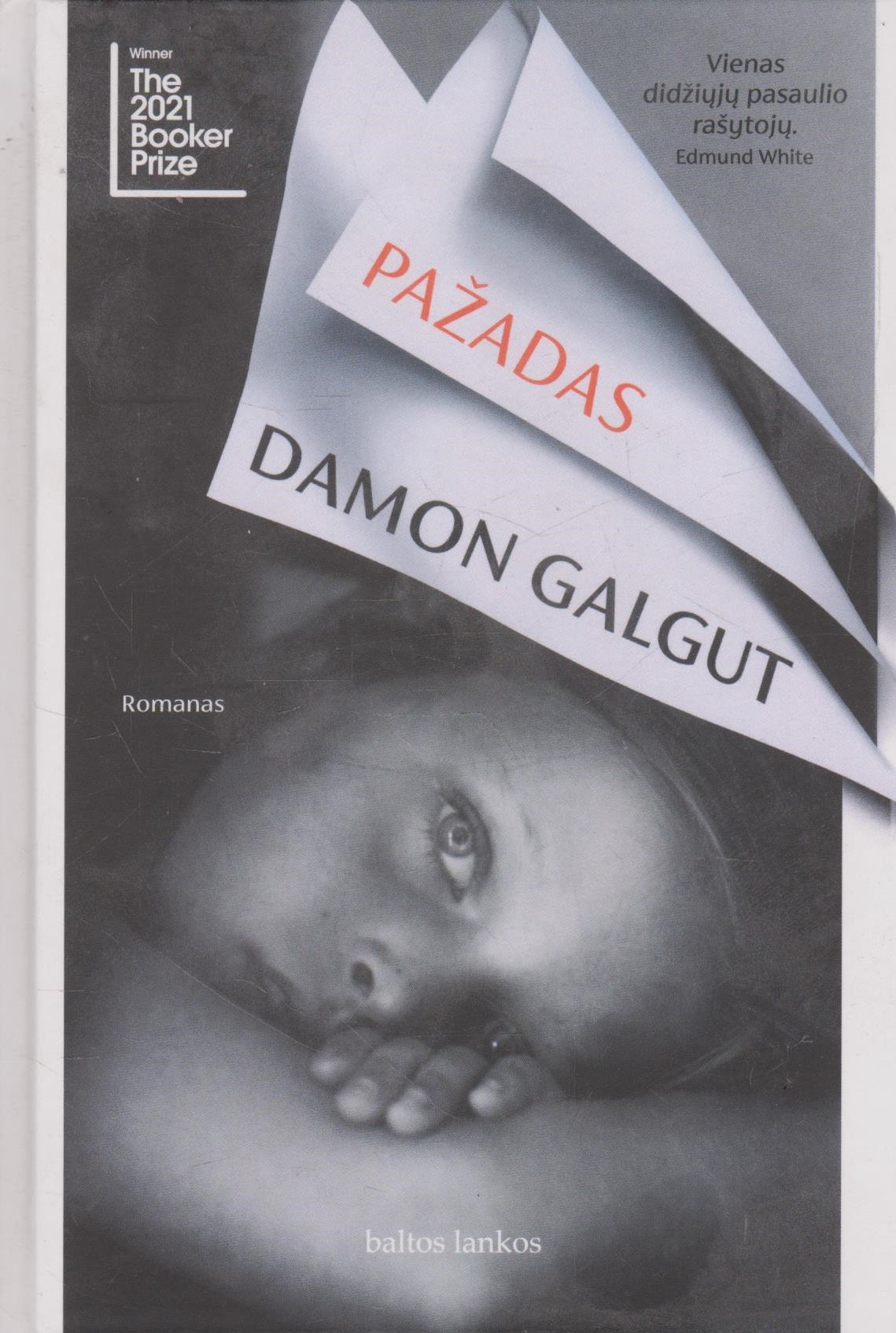 Damon Galgut - Pažadas
