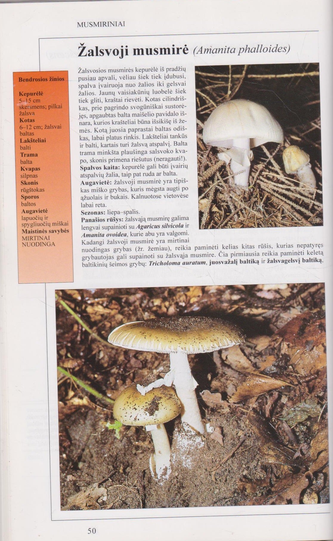 Grybai : išsamus grybų ir jų rinkimo žinynas