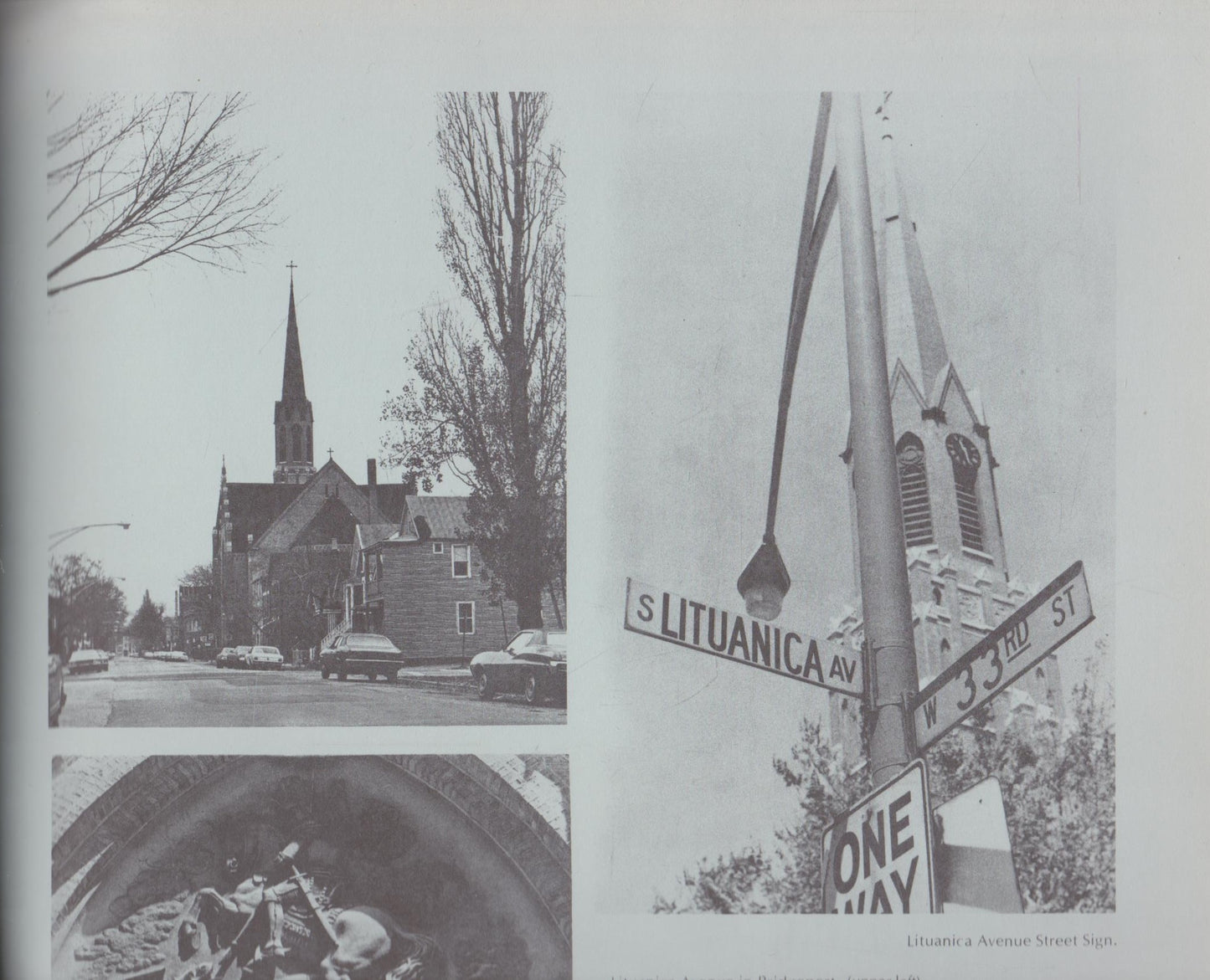 David Fanhauz - Lithuanians in Multi-Ethnic Chicago until World War II, 1977 m., Chicago, IL