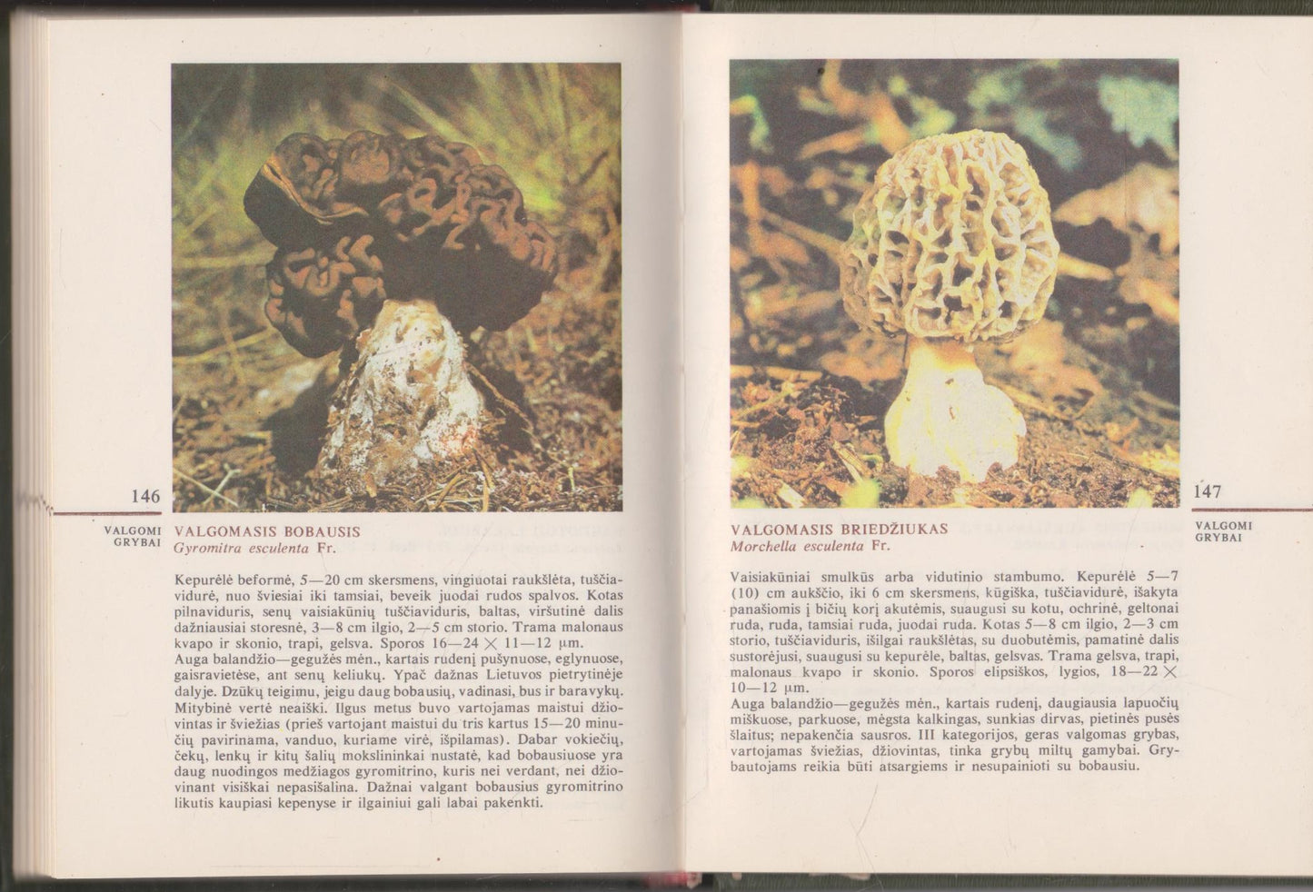V. Urbonas - Grybai, 1986