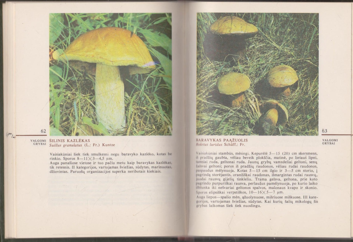 V. Urbonas - Grybai, 1986