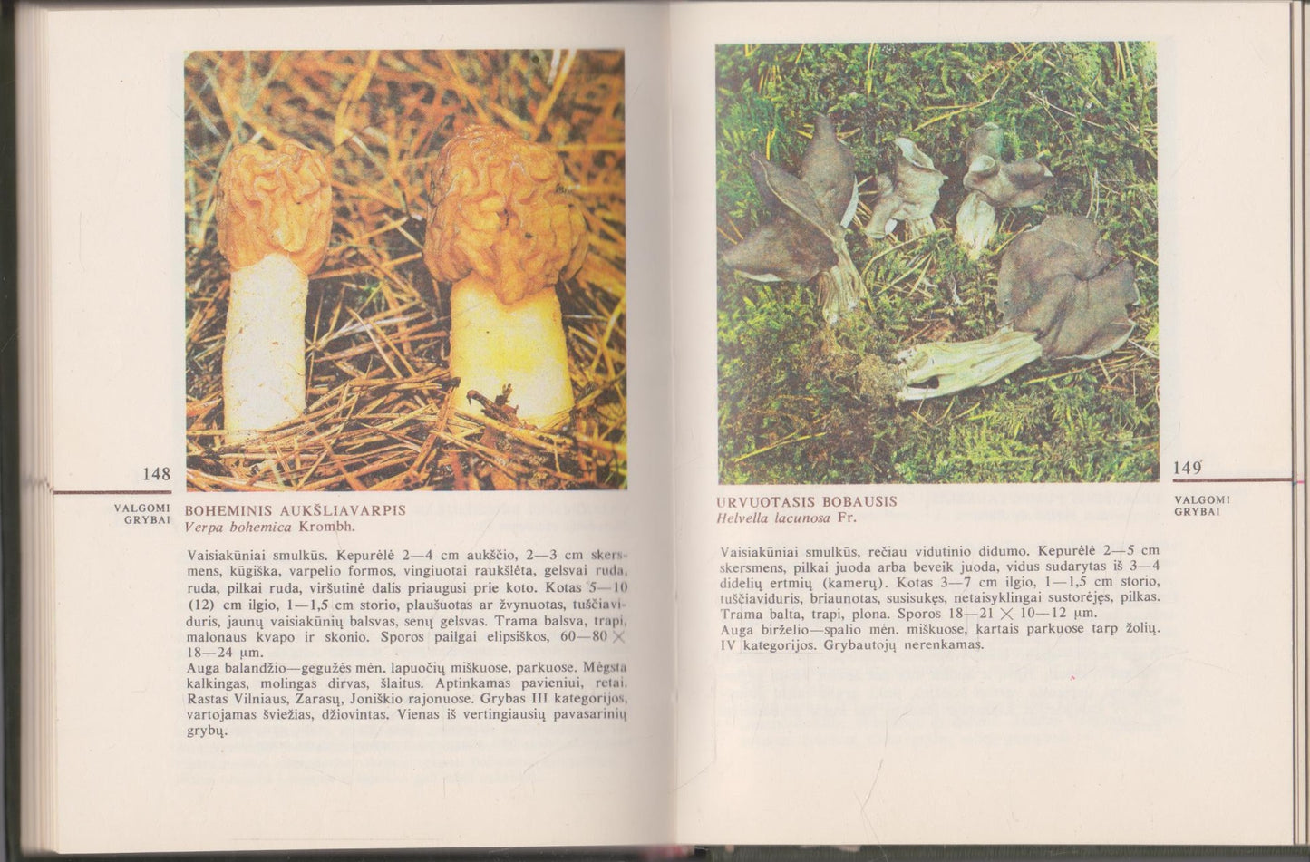 V. Urbonas - Grybai, 1986