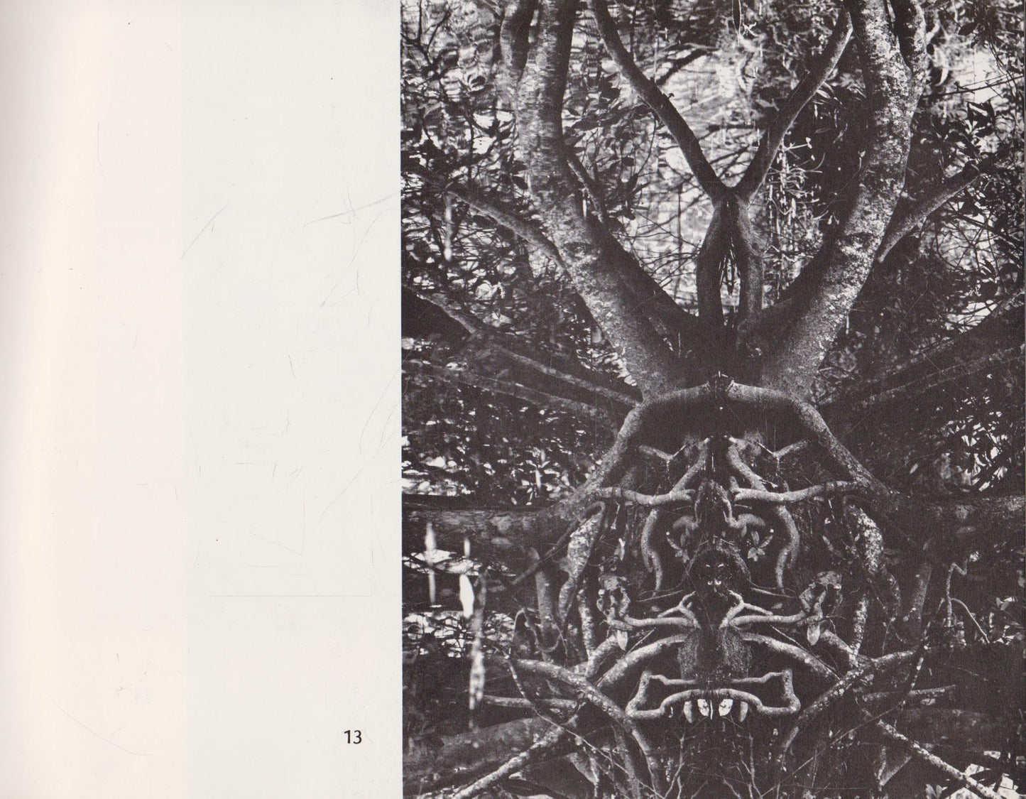 Algimantas Kezys - Trees