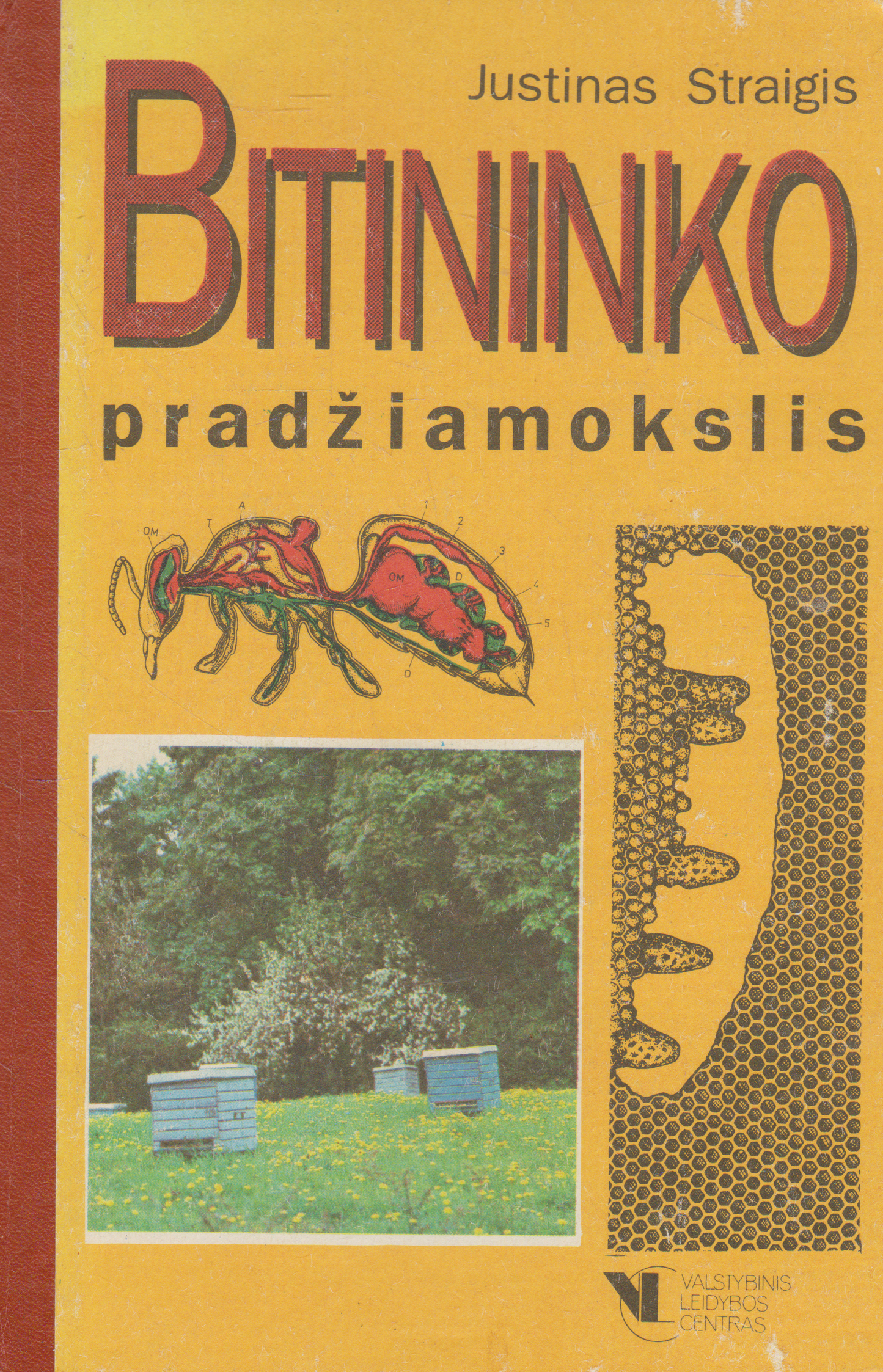 Justinas Straigis - Bitininko pradžiamokslis