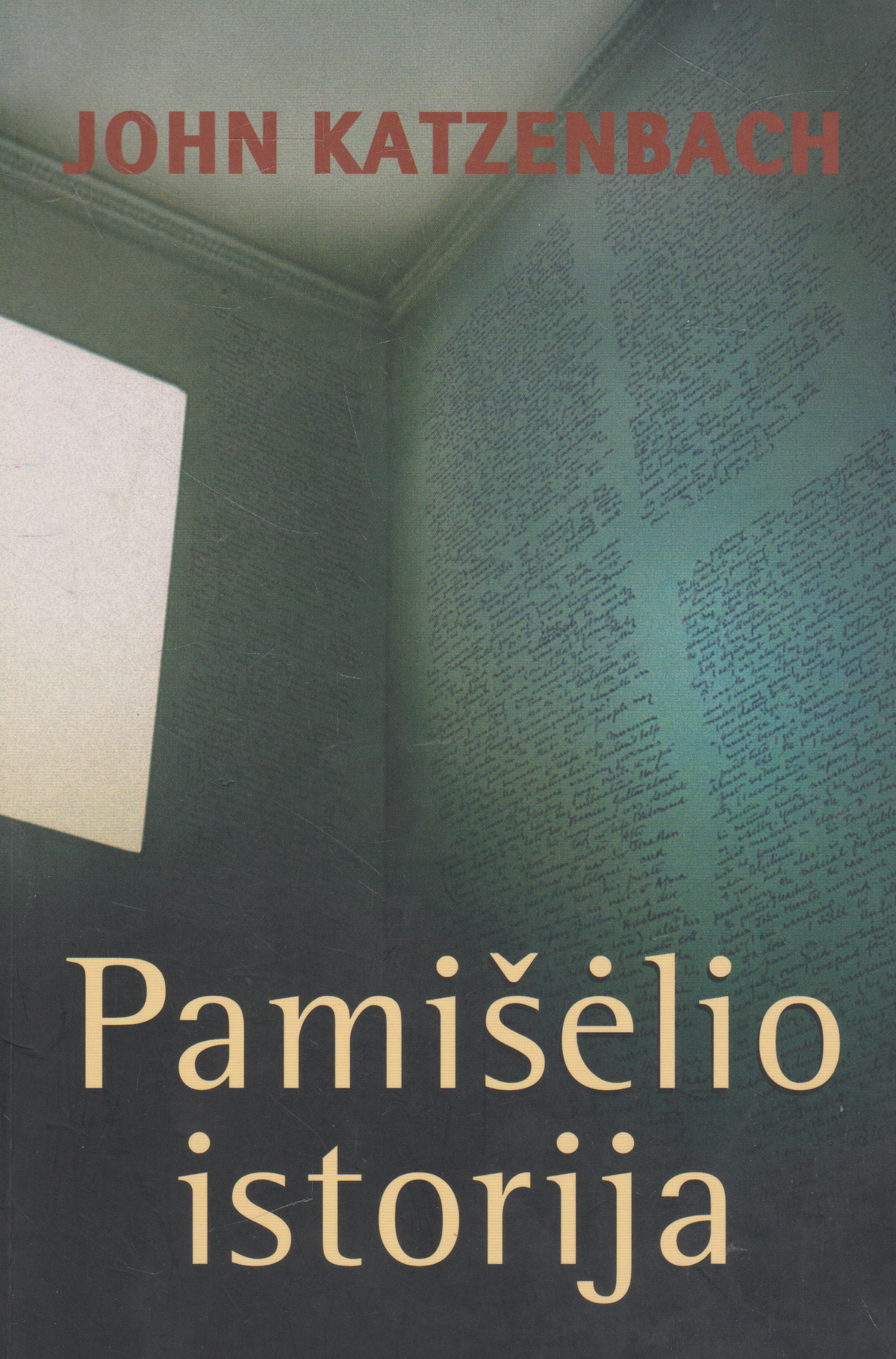 John Katzenbach - Pamišėlio istorija