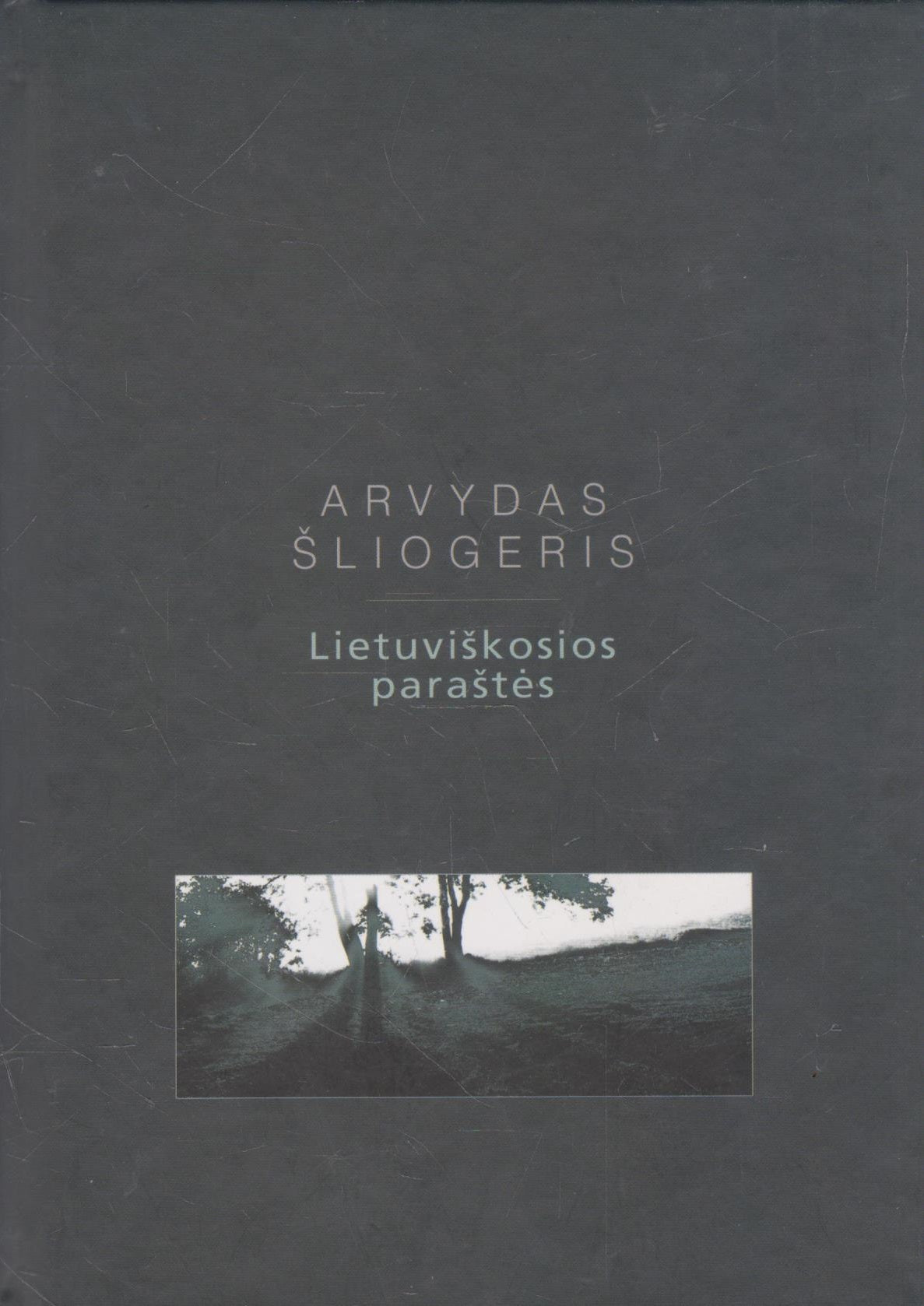 Arvydas Šliogeris - Lietuviškosios paraštės