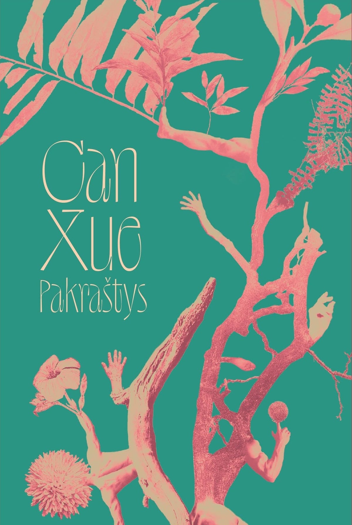 Can Xue - Pakraštys (nauja knyga)