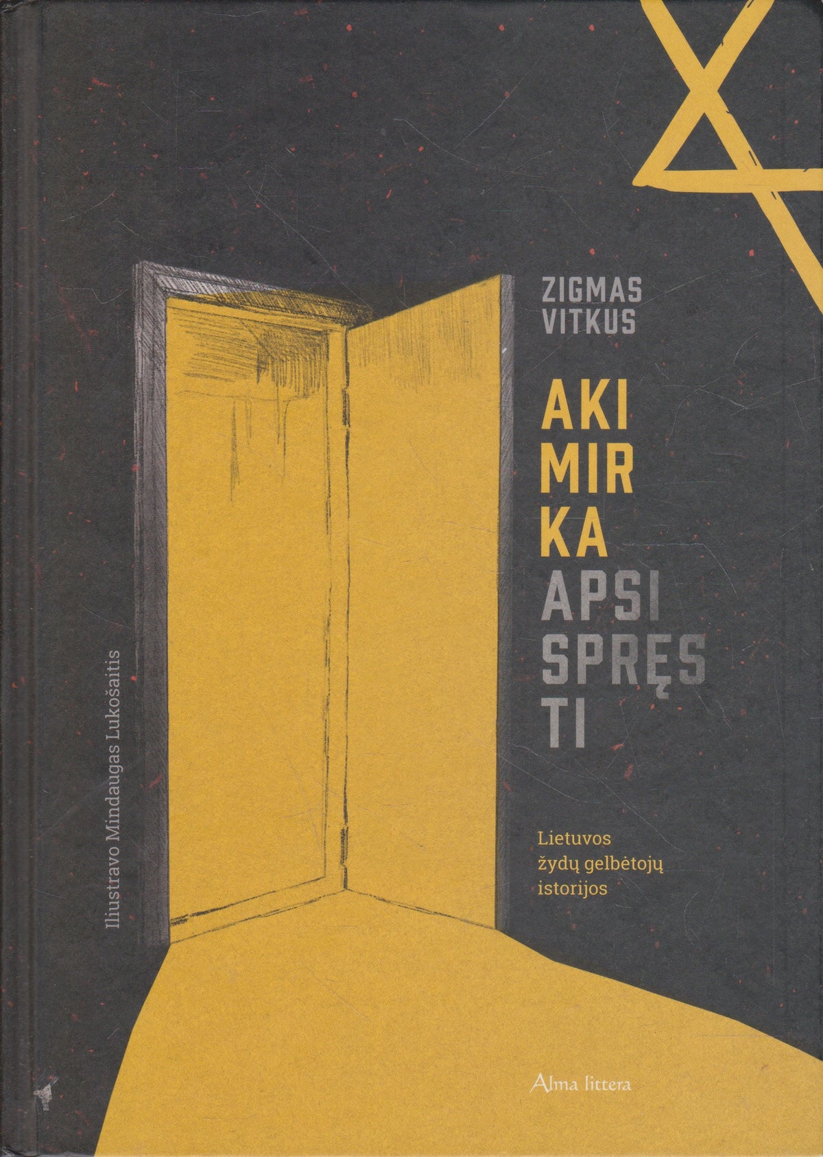 Zigmas Vitkus - Akimirka apsispręsti