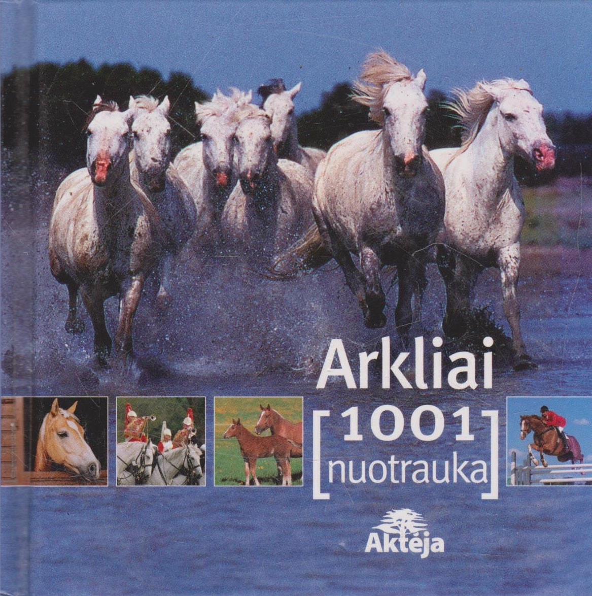 Arkliai