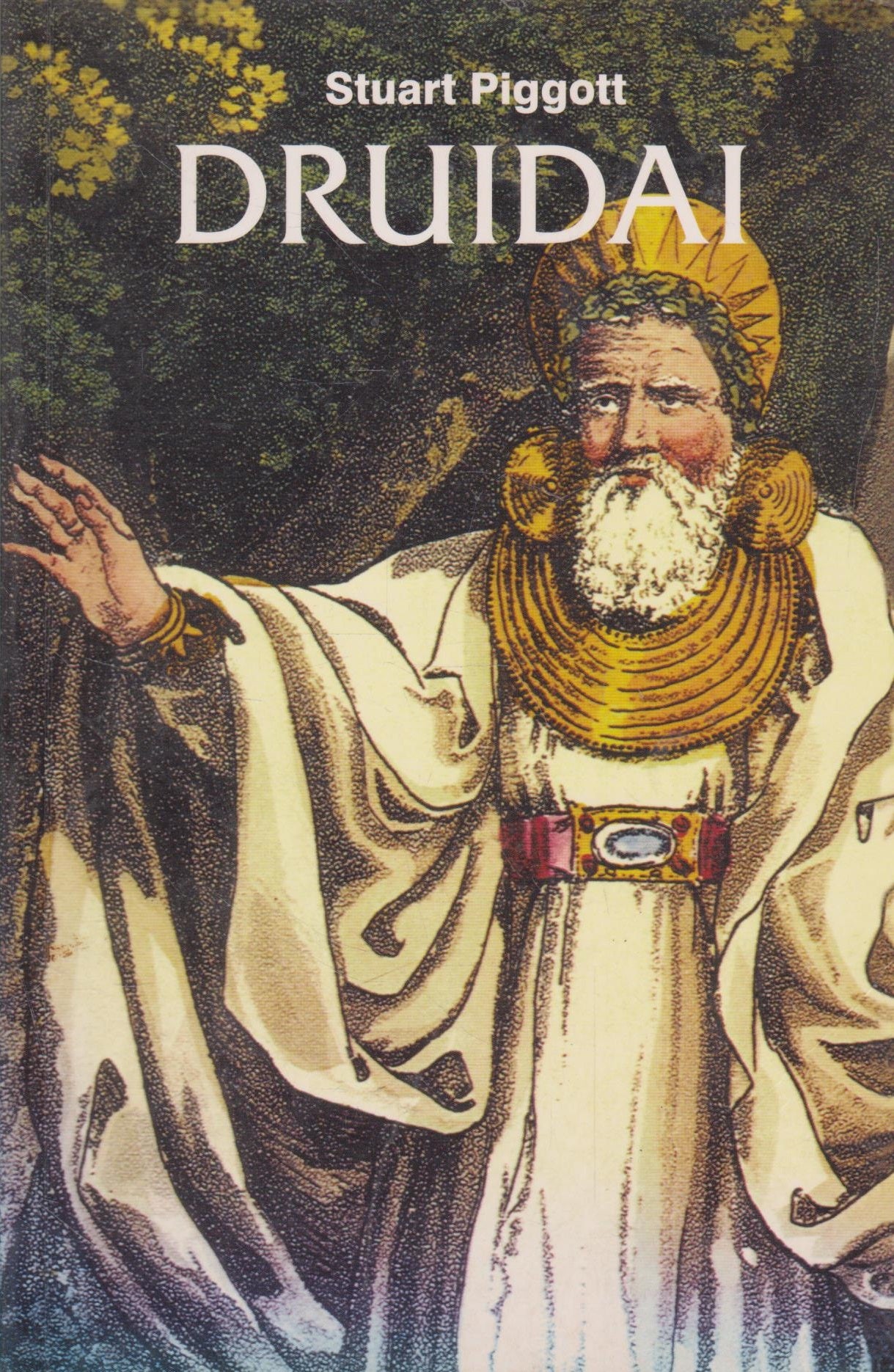 Stuart Piggott - Druidai (žr. būklę)