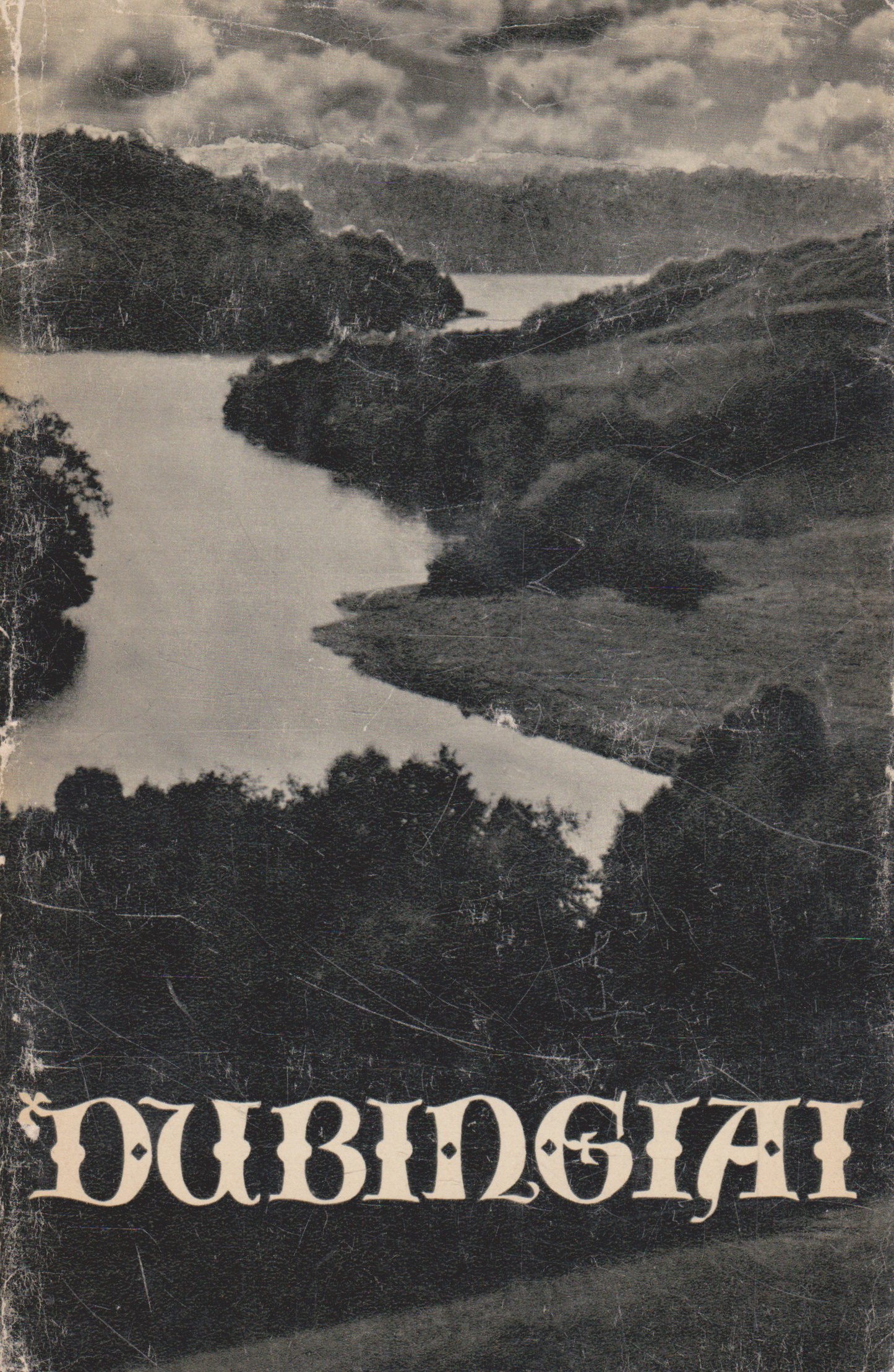 Dubingiai (žr. būklę)