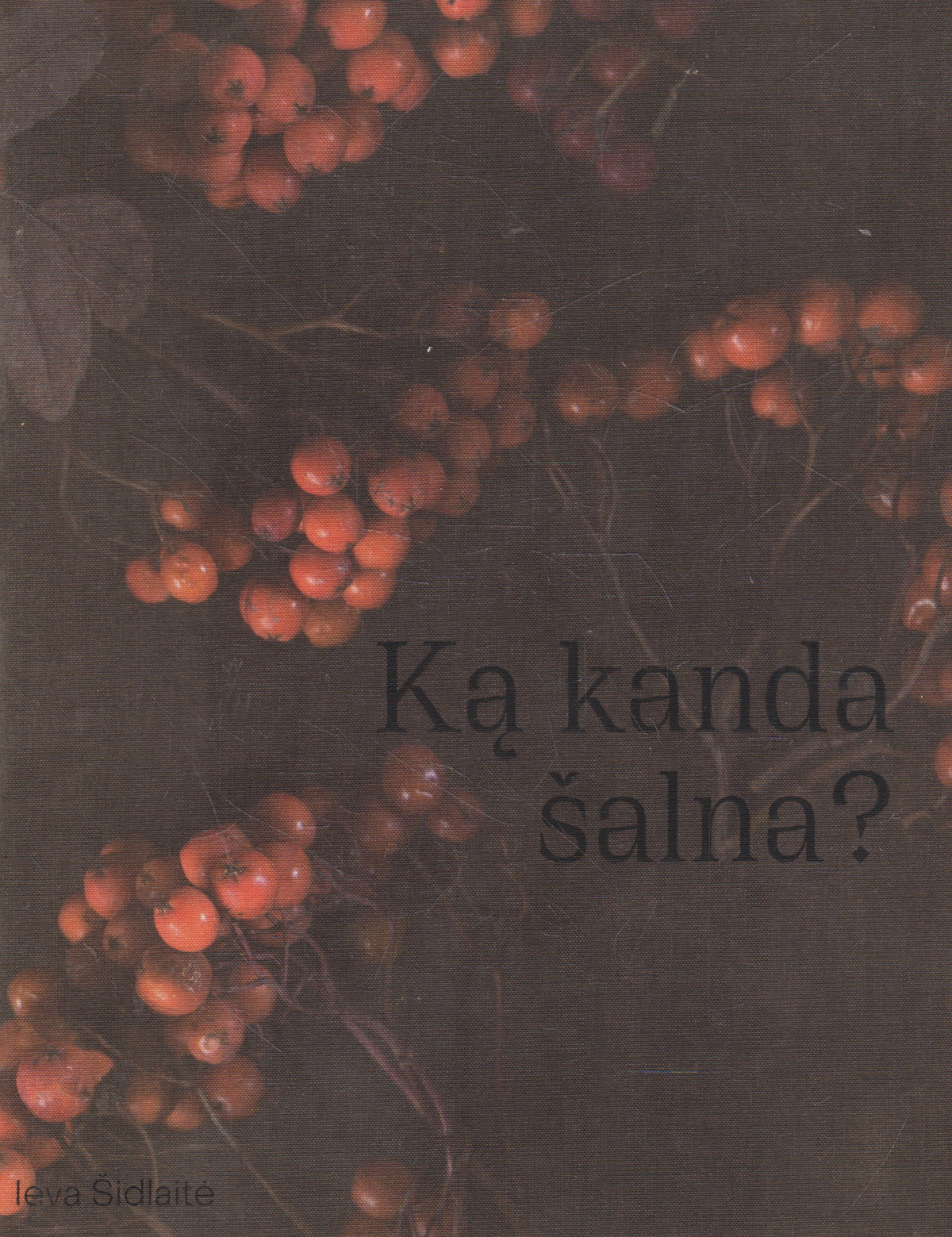 I. Šidlaitė - Ką kanda šalna?