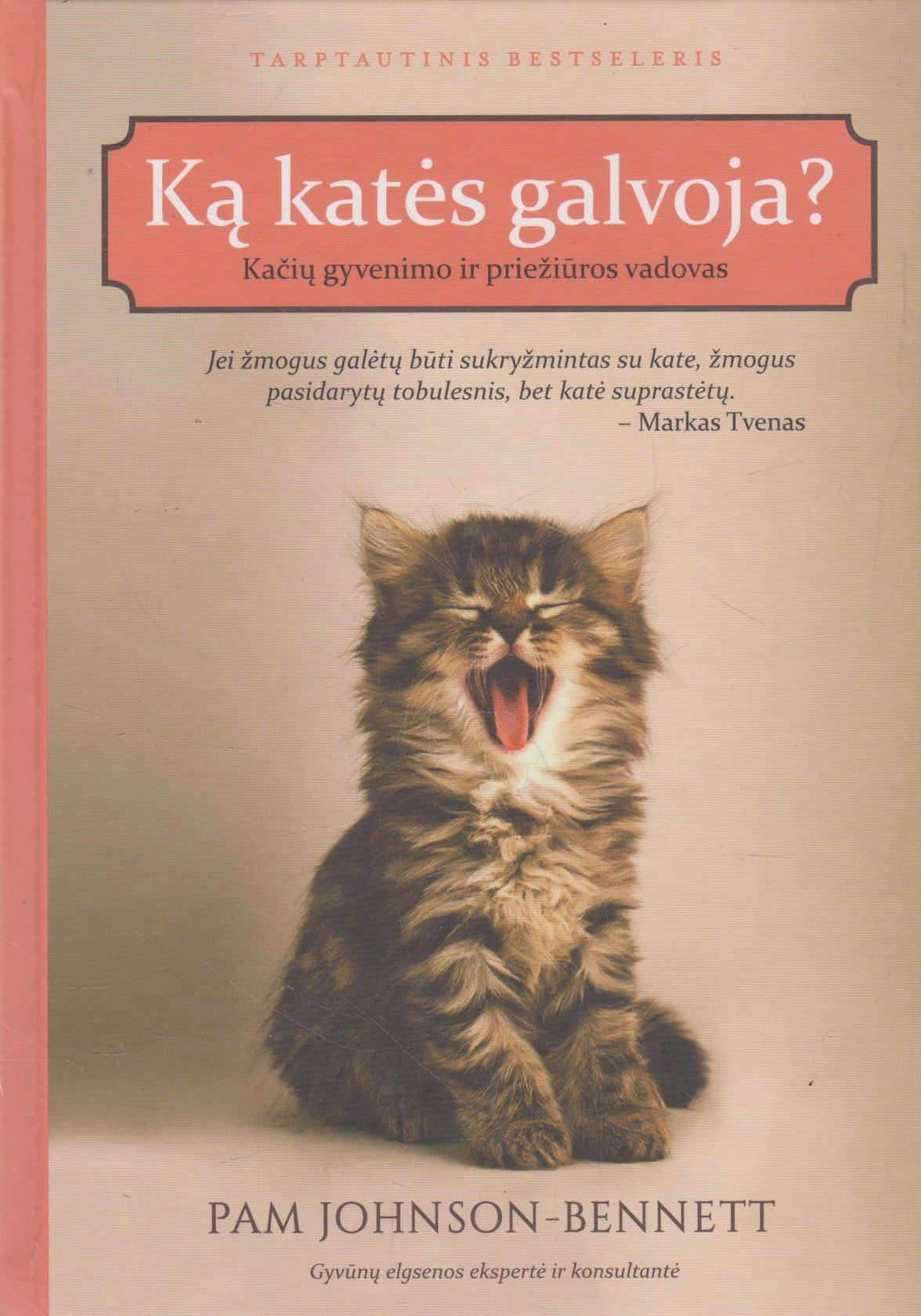 Ką katės galvoja?