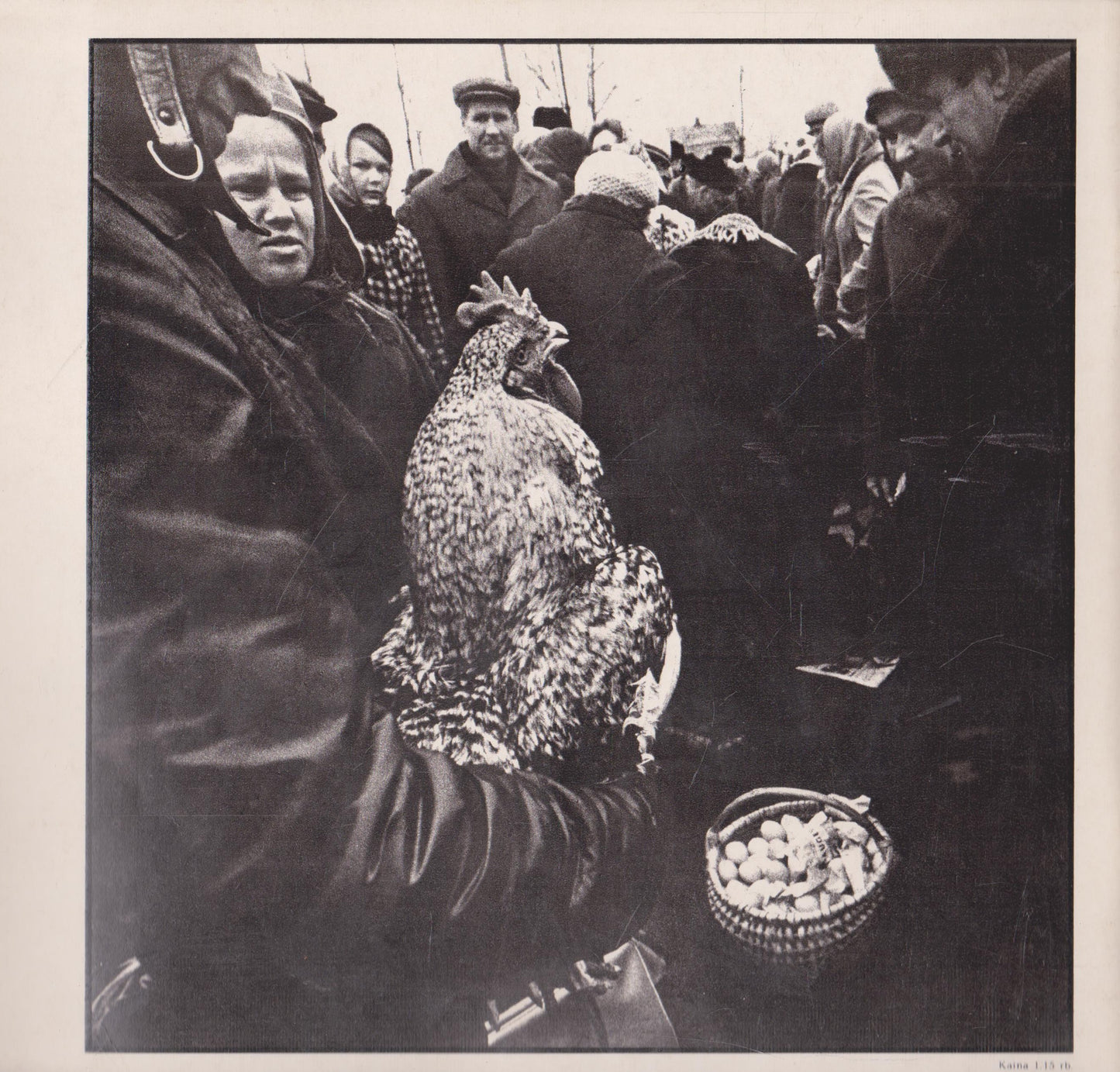 Aleksandras Macijauskas - fotografijos parodos katalogas