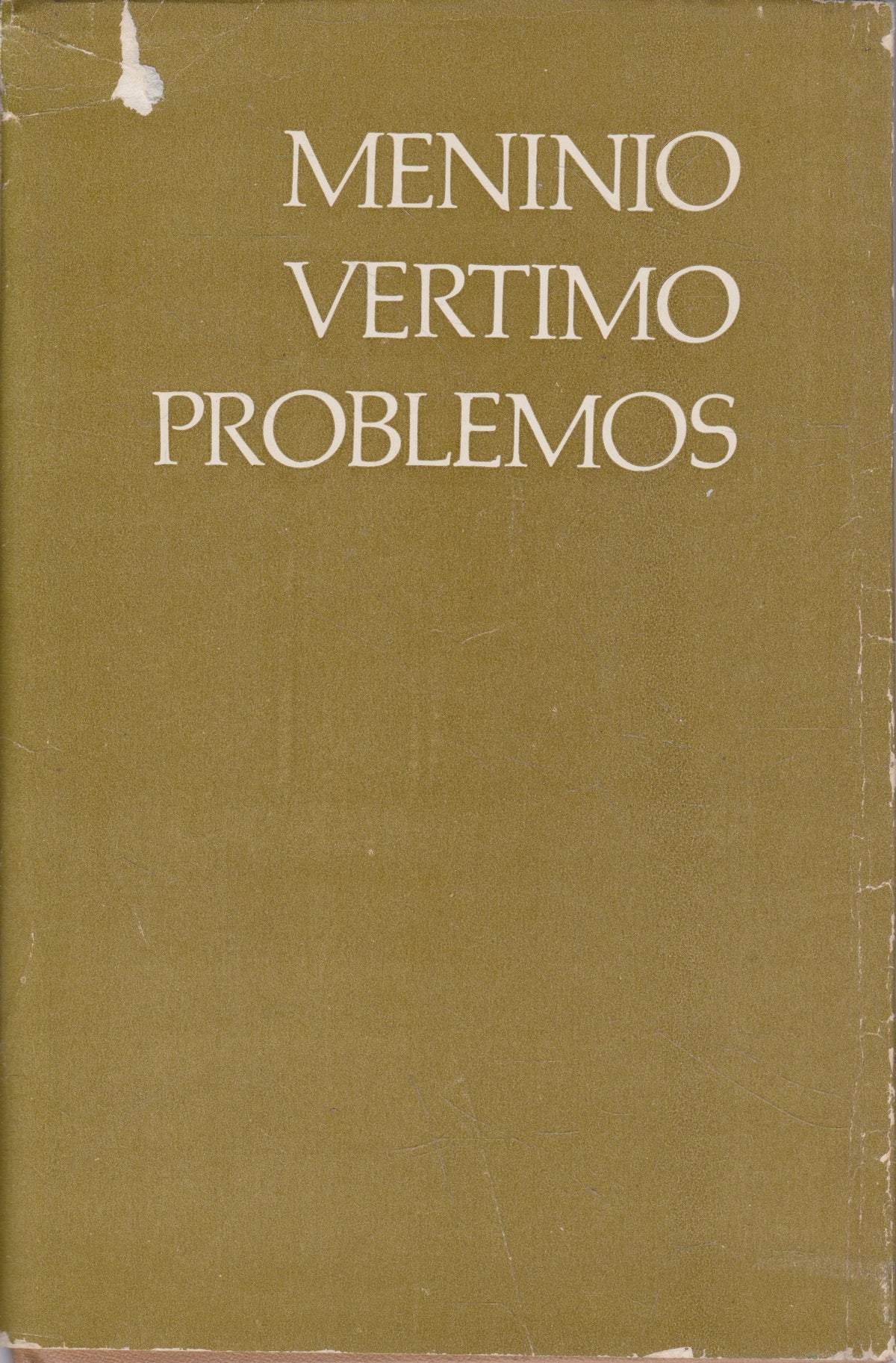 Meninio vertimo problemos (žr. būklę)