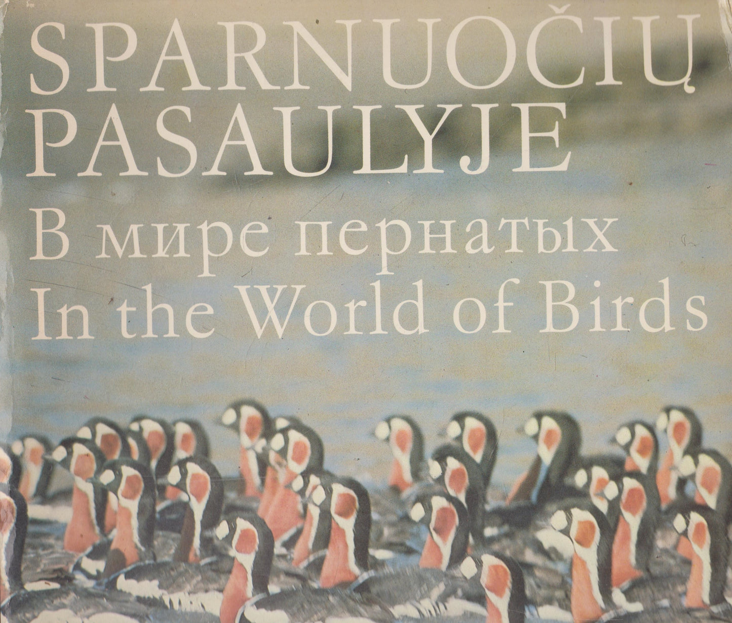 Sparnuočių pasaulyje (foto albumas/ žr. būklę)