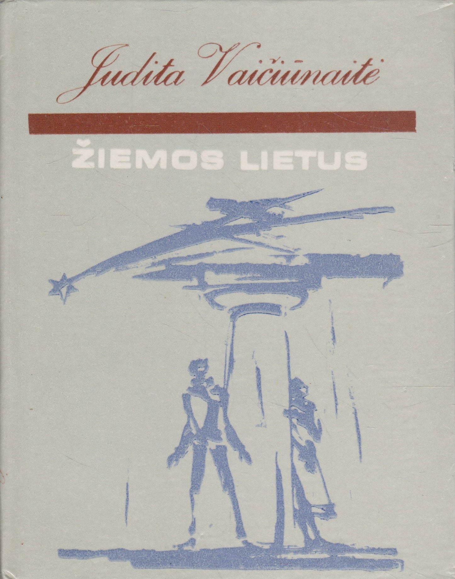 Judita Vaičiūnaitė - Žiemos lietus