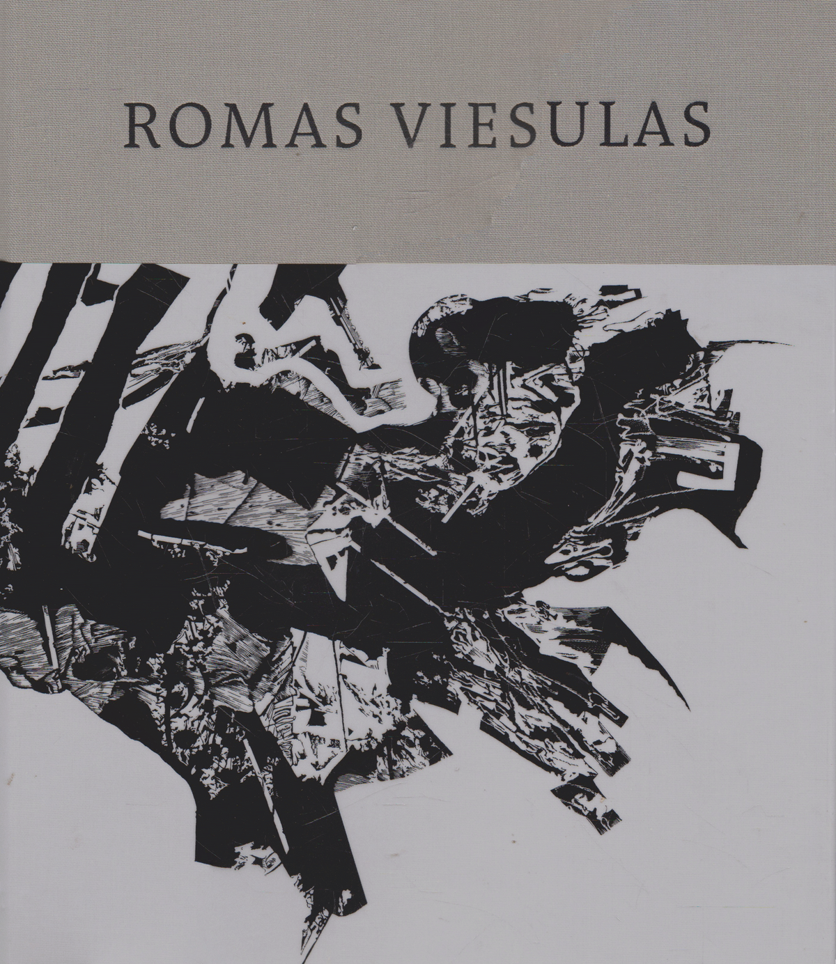 Romas Viesulas (nauja knyga)