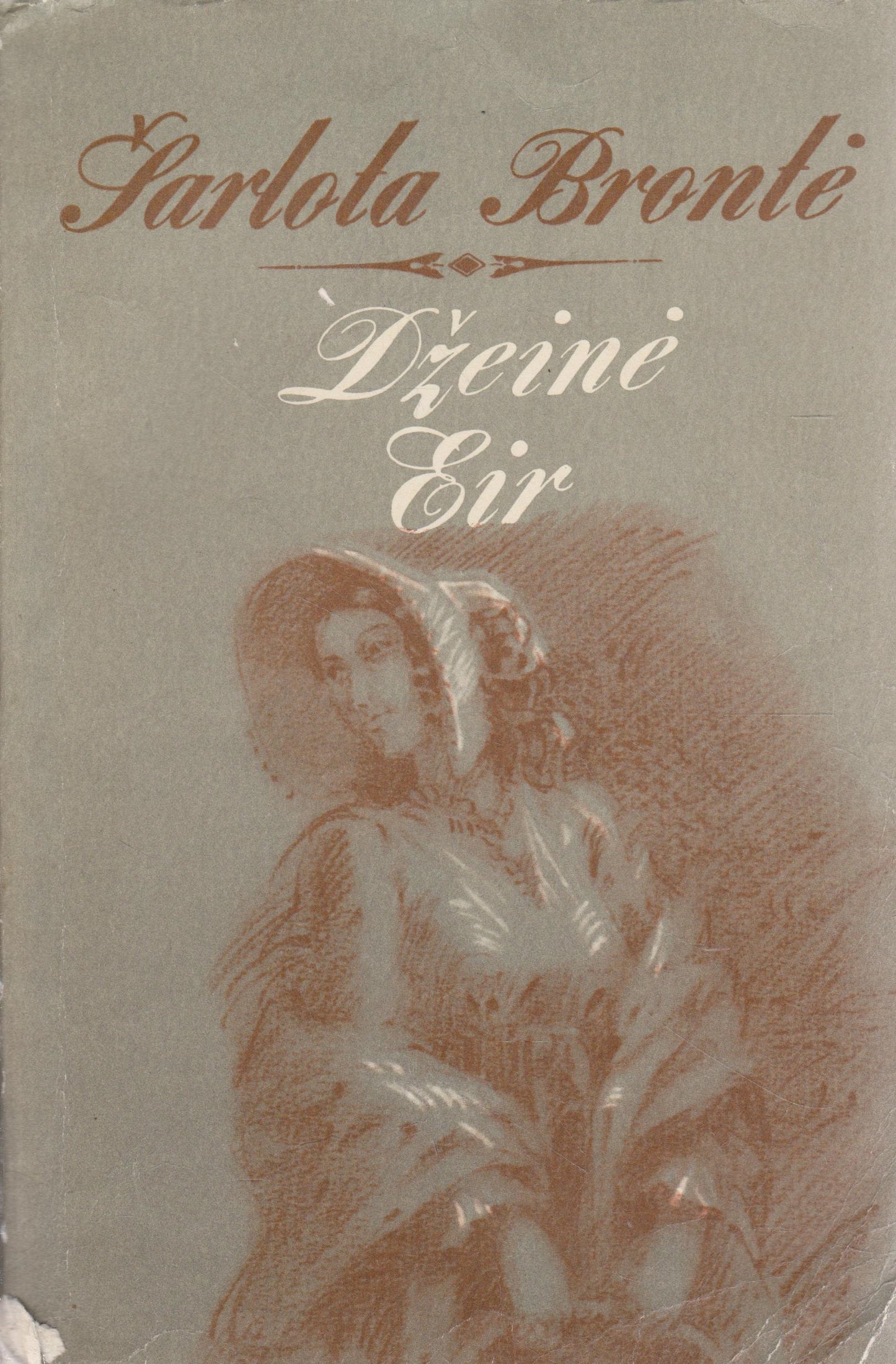 Šarlota Brontė - Džeinė Eir