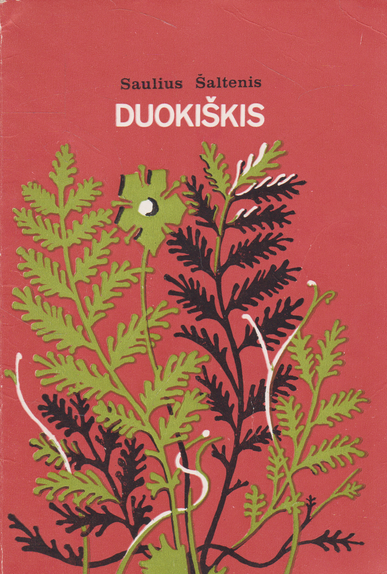 Saulius Šaltenis - Duokiškis