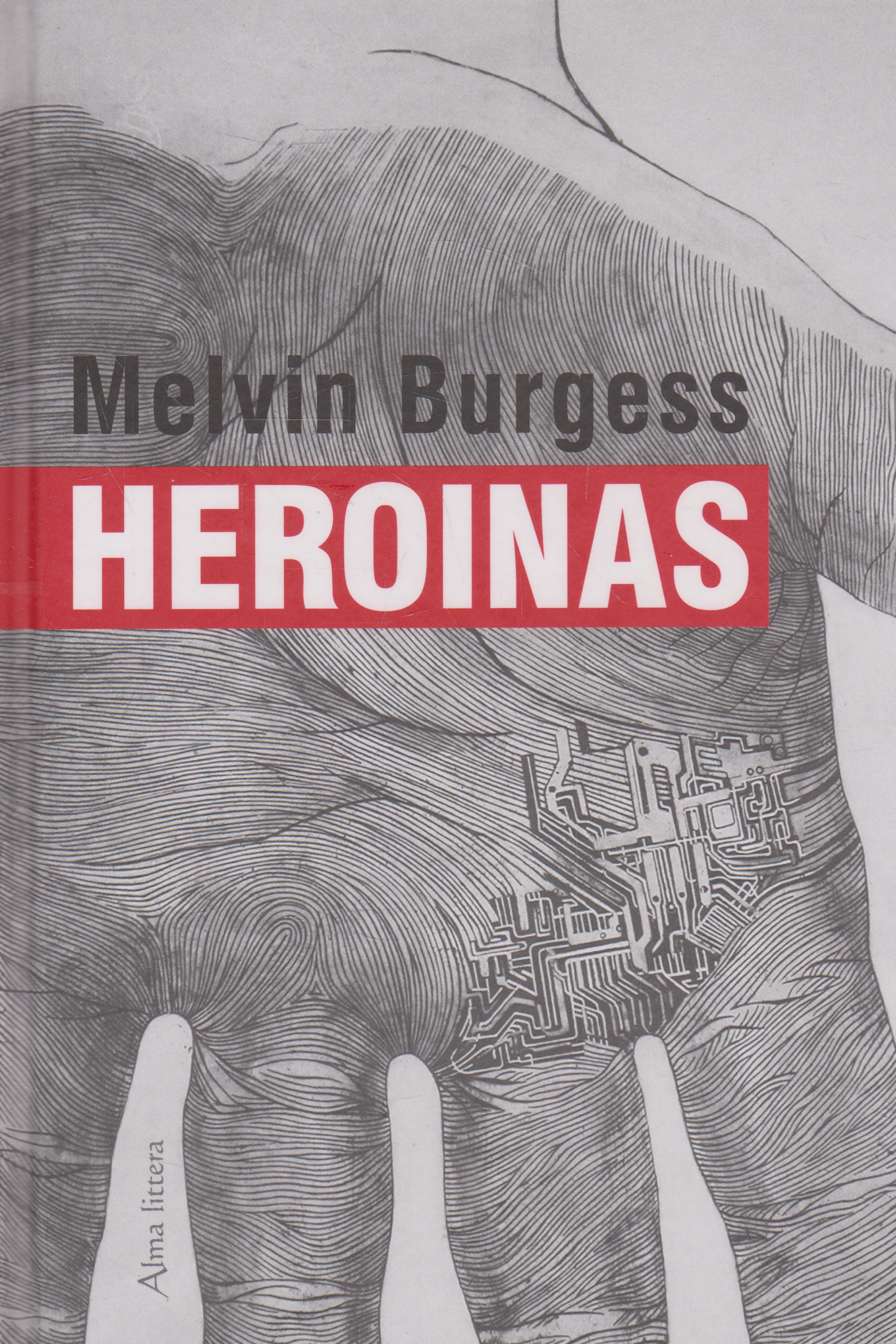 Melvin Burgess - Heroinas