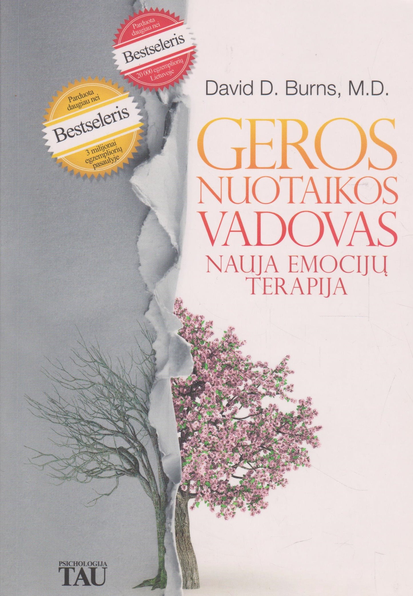 D. D. Burns - Geros nuotaikos vadovas