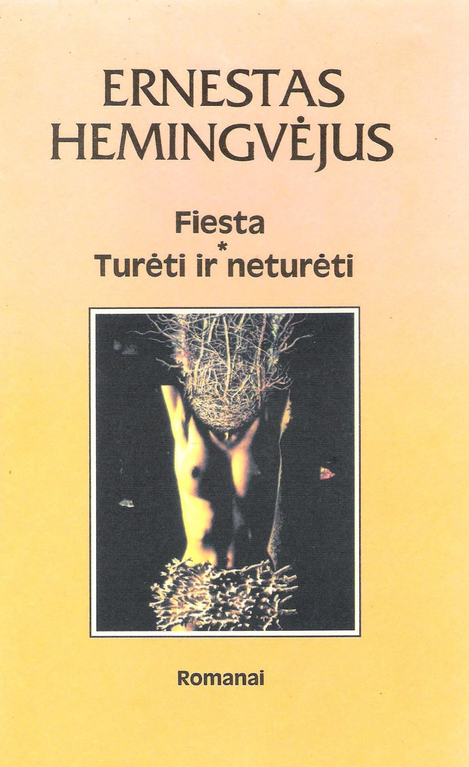 Ernestas Hemingvėjus - Fiesta, Turėti ir neturėti