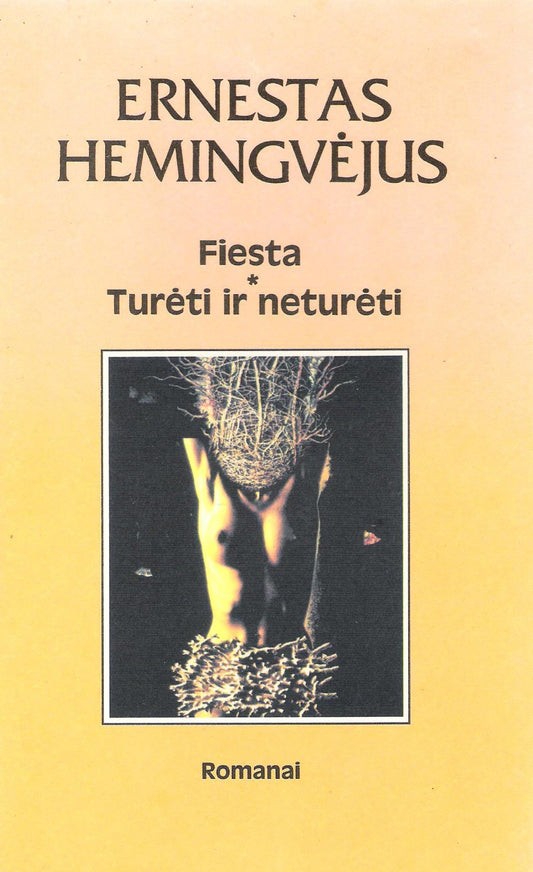 Ernestas Hemingvėjus - Fiesta, Turėti ir neturėti
