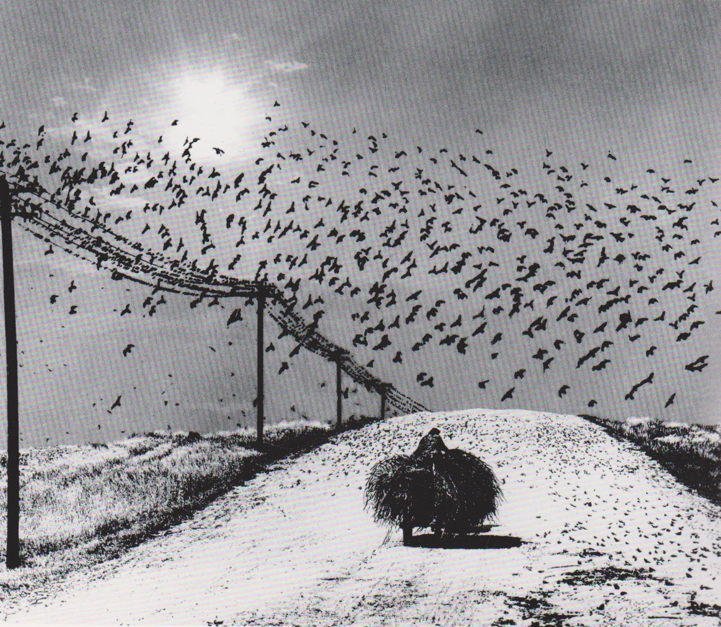 Lietuvos fotografija: vakar ir šiandien (keli variantai)