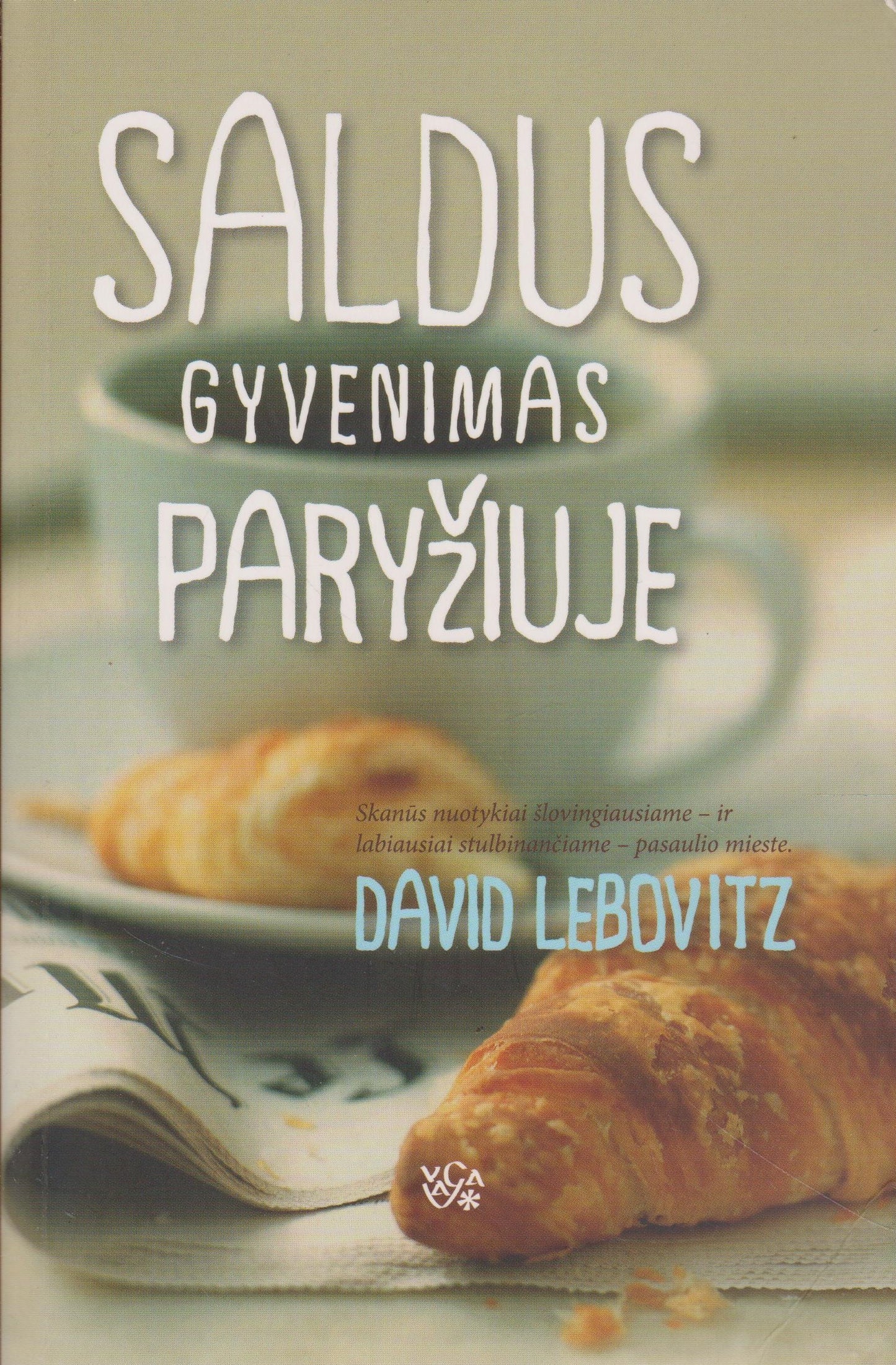 D. Lebovitz - Saldus gyvenimas Paryžiuje