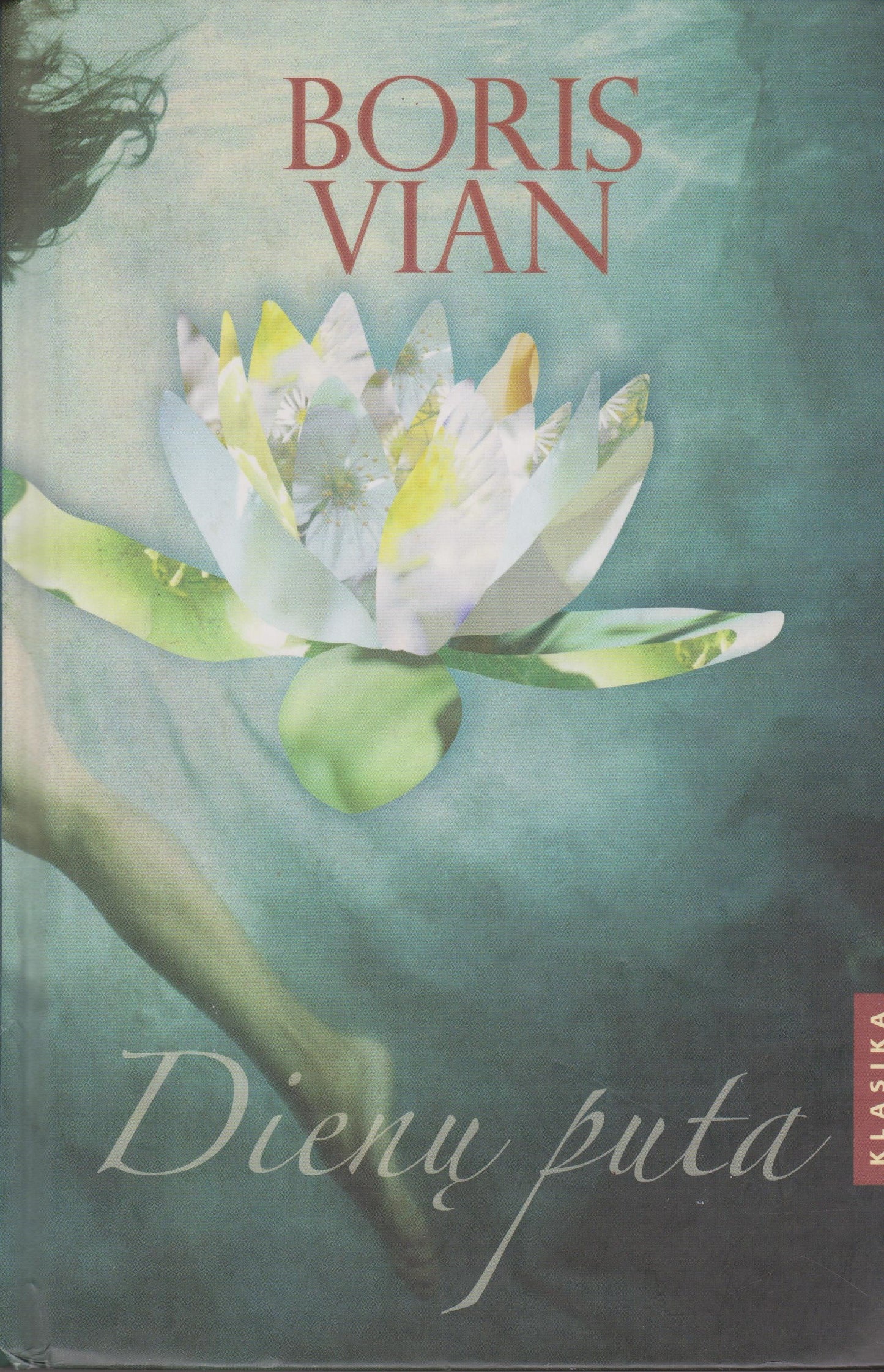 Boris Vian - Dienų puta