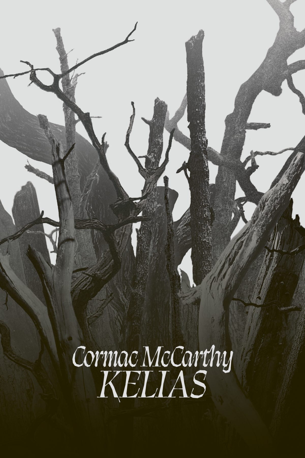 C. McCarthy - Kelias
