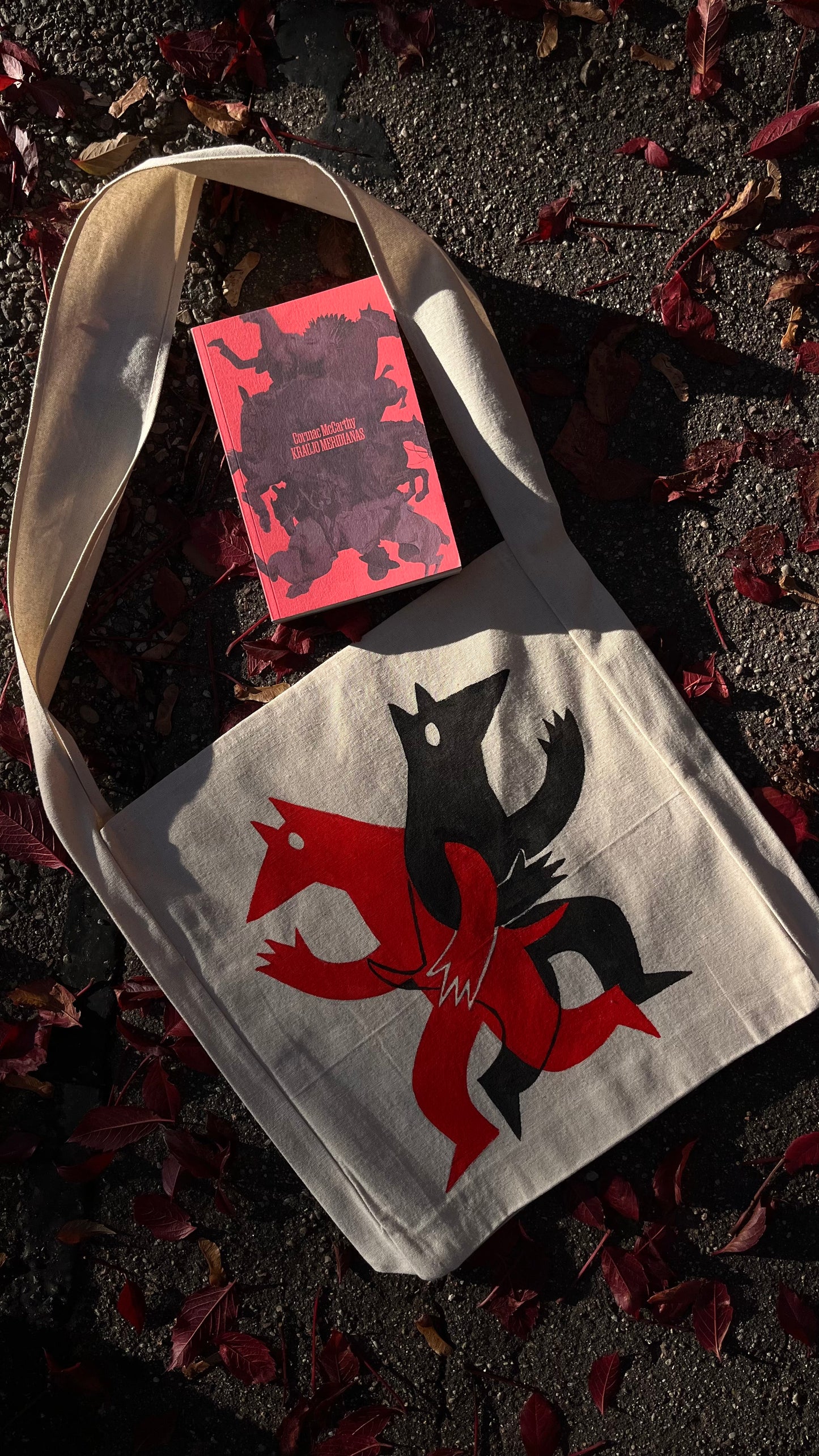 Maišelis - Šunų meridianas + RARA knyga