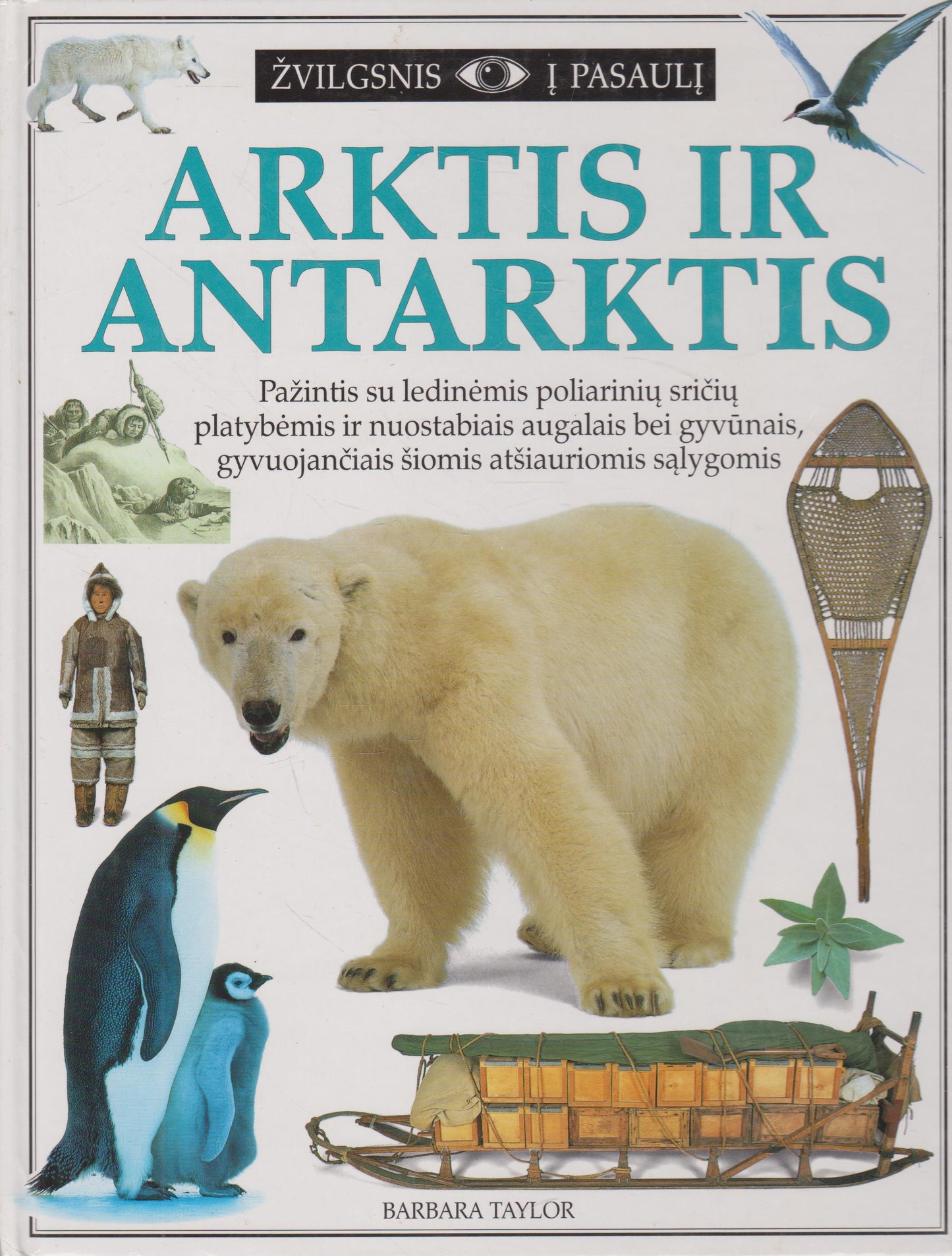 Arktis ir Antarktis
