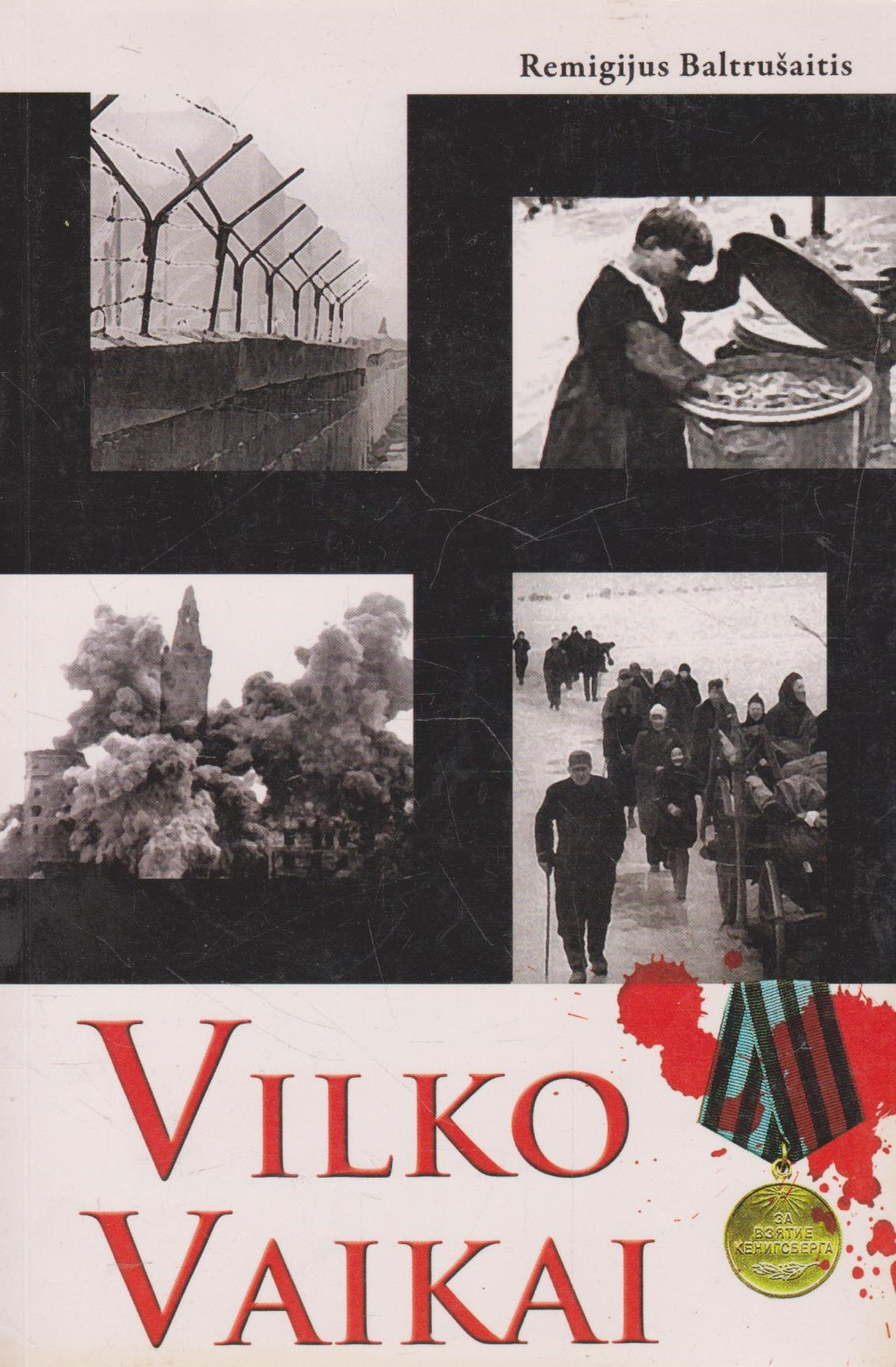 Remigijus Baltrušaitis - Vilko vaikai 2 knygos