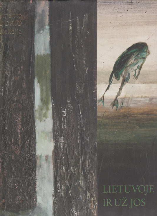 Valmantas Budrys: Lietuvoje ir už jos