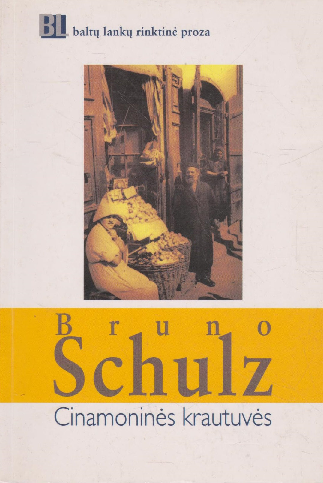 Bruno Schulz - Cinamoninės Krautuvės