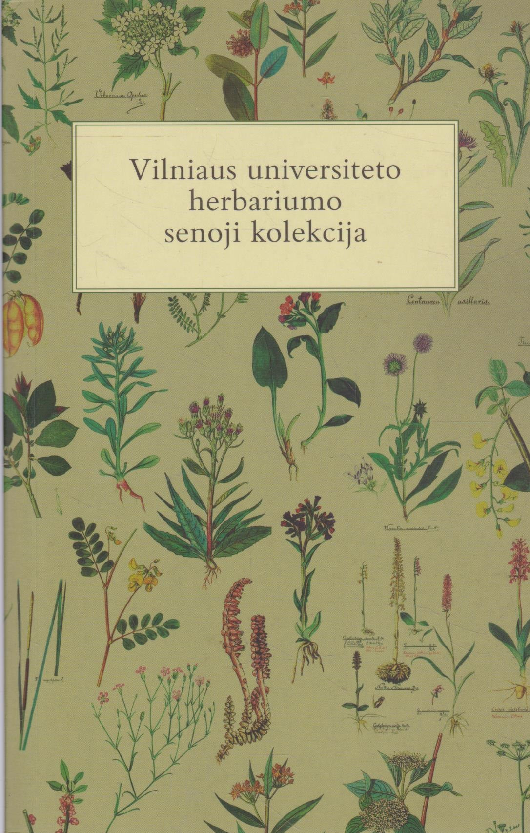 Vilniaus Universiteto Herbariumo Senoji Kolekcija