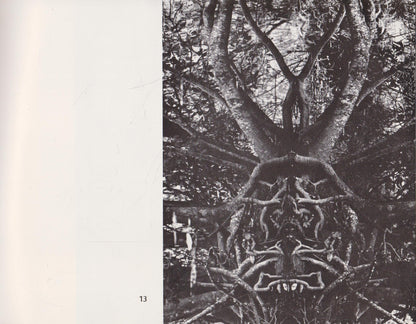 Algimantas Kezys - Trees
