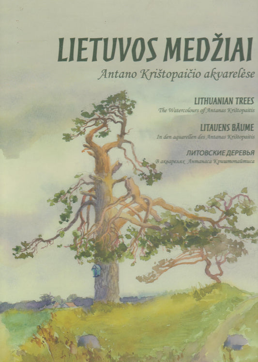 Lietuvos medžiai Antano Krištopaičio akvarelėse