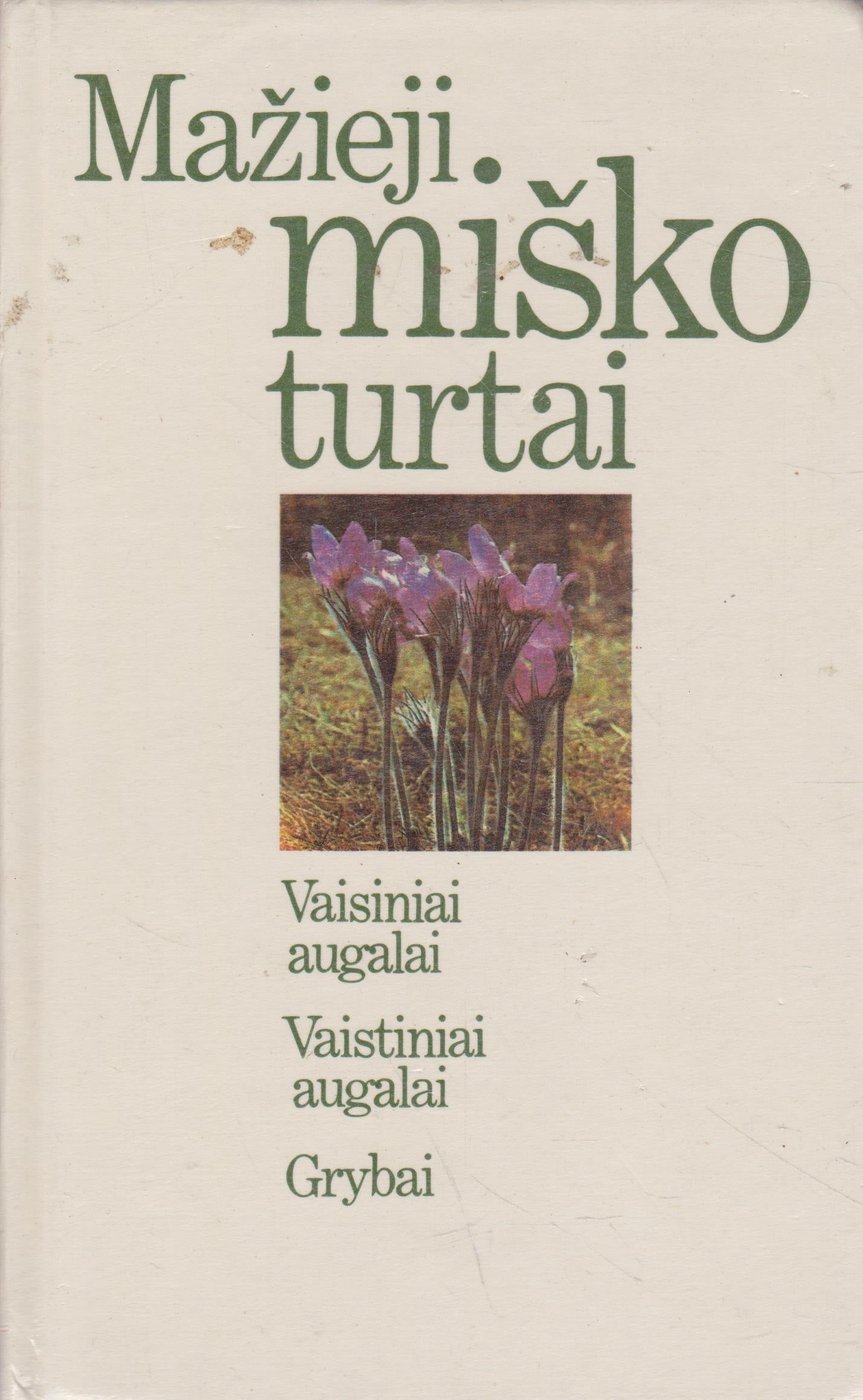 V. Butkus - Mažieji miško turtai