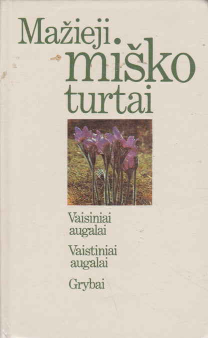 V. Butkus - Mažieji miško turtai