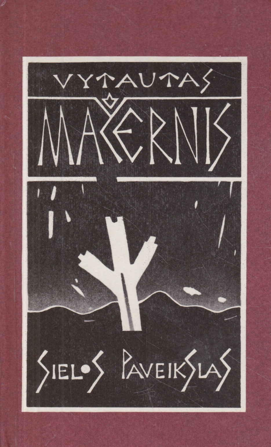 Vytautas Mačernis - Sielos paveikslas