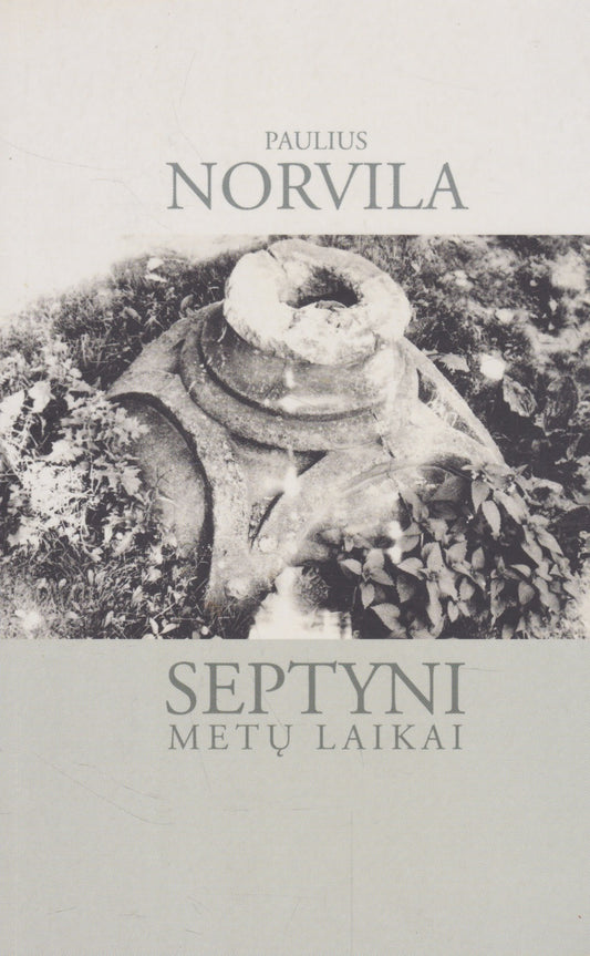 Paulius Norvila - Septyni metų laikai