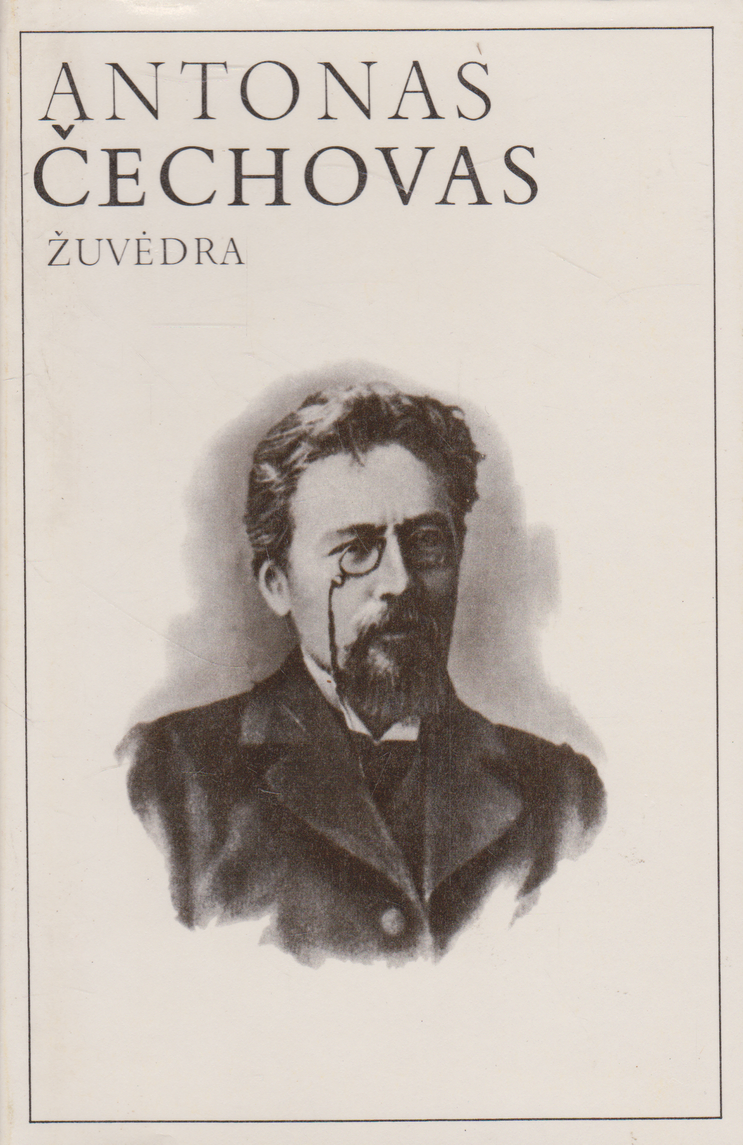 Antonas Čechovas - Žuvėdra