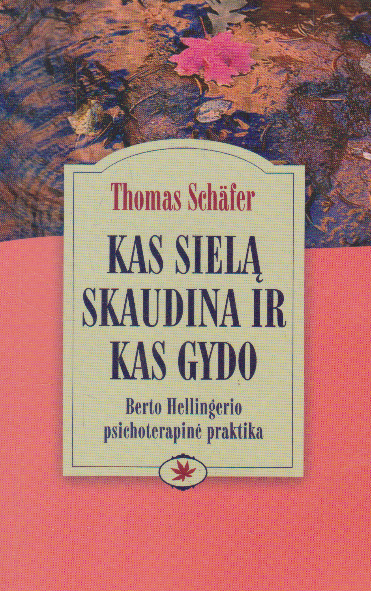 Thomas Schafer - Kas sielą skaudina ir kas gydo