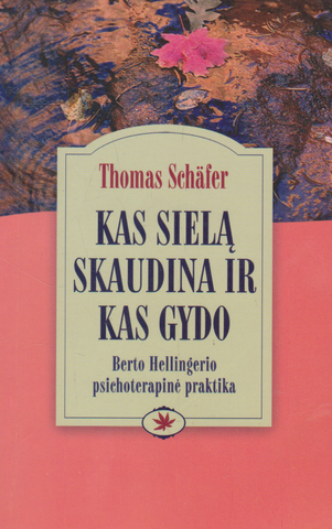 Thomas Schafer - Kas sielą skaudina ir kas gydo